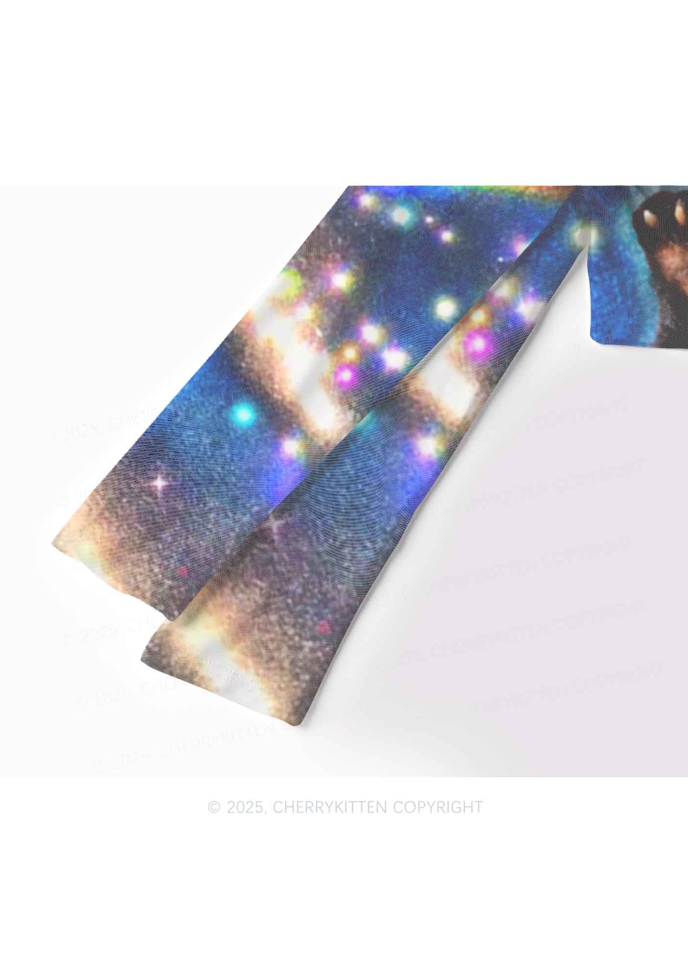 Super Raccoon Y2K Mesh Long Sleeve Crop Top Cherrykitten