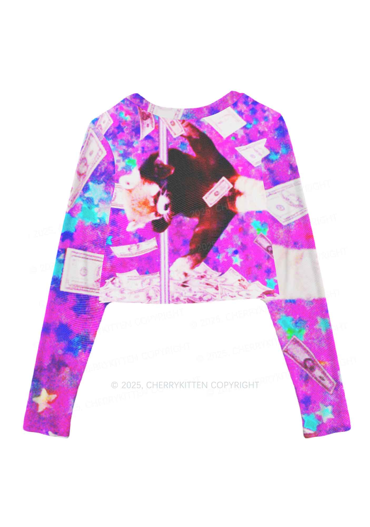 Pole Dancing Raccoon Y2K Mesh Long Sleeve Crop Top Cherrykitten