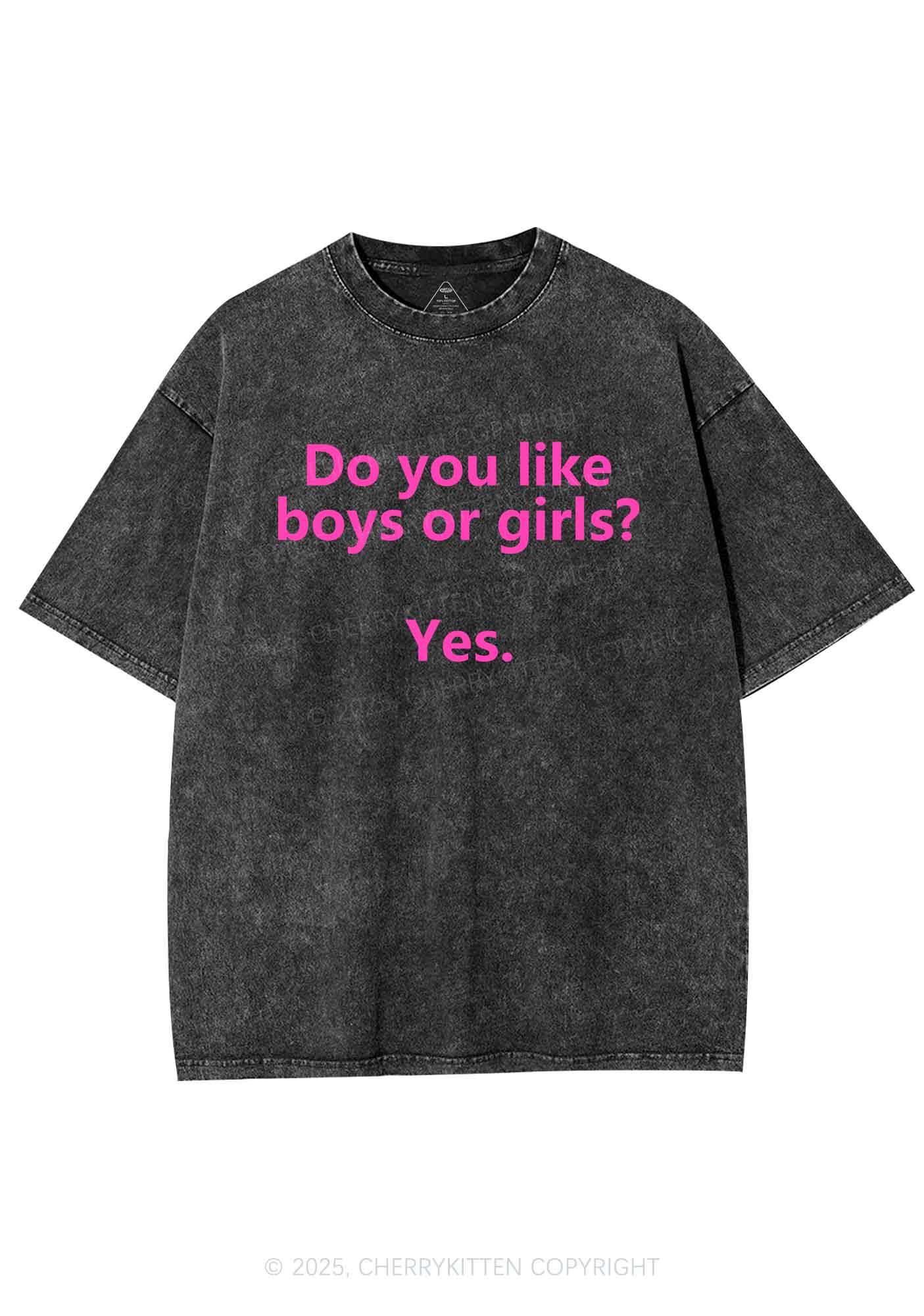 Do You Like Boys Or Girls Pride Y2K Shirts Washed Tee Cherrykitten