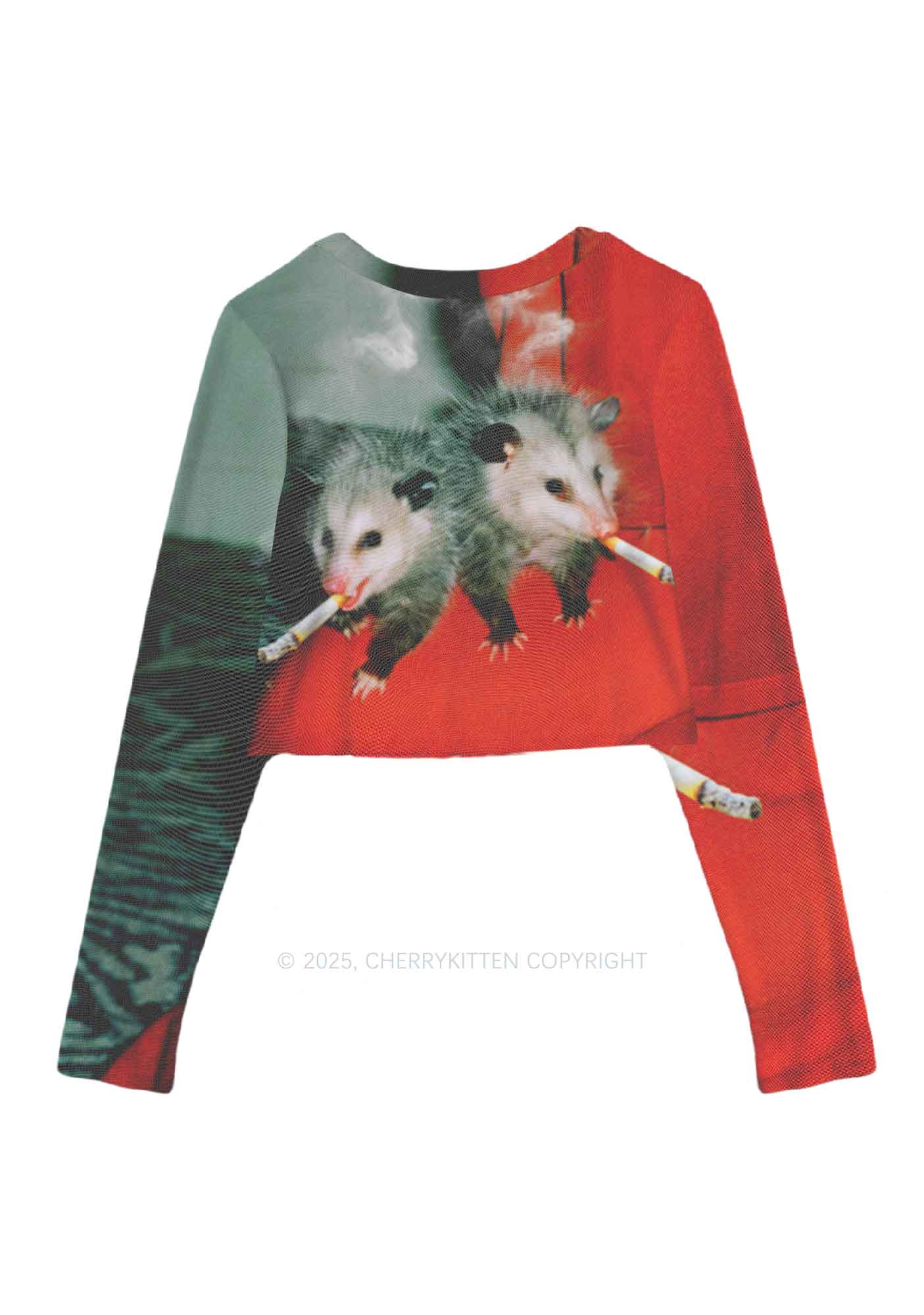 Smoking Badass Rats Y2K Mesh Long Sleeve Crop Top Cherrykitten