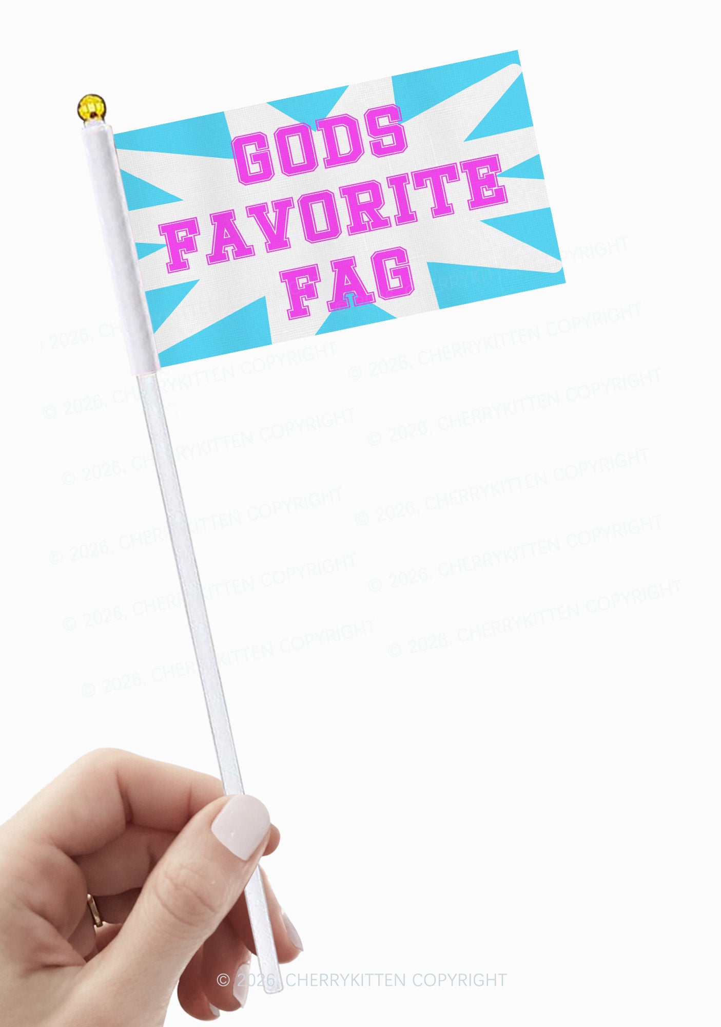 Gods Favorite Fag Pride Y2K Hand Flags Cherrykitten