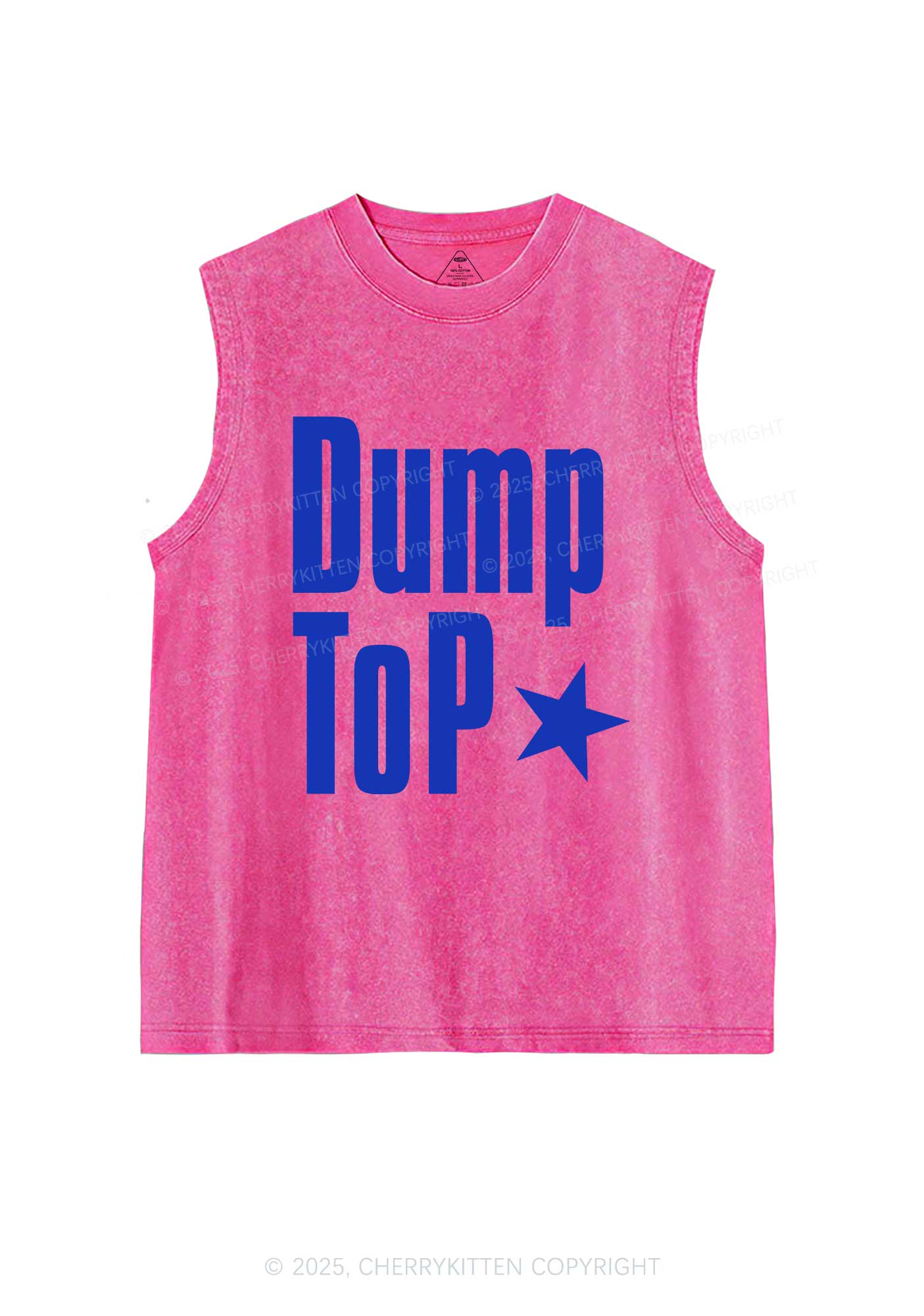 Dump Top Pride Y2K Washed Muscle Tank Cherrykitten