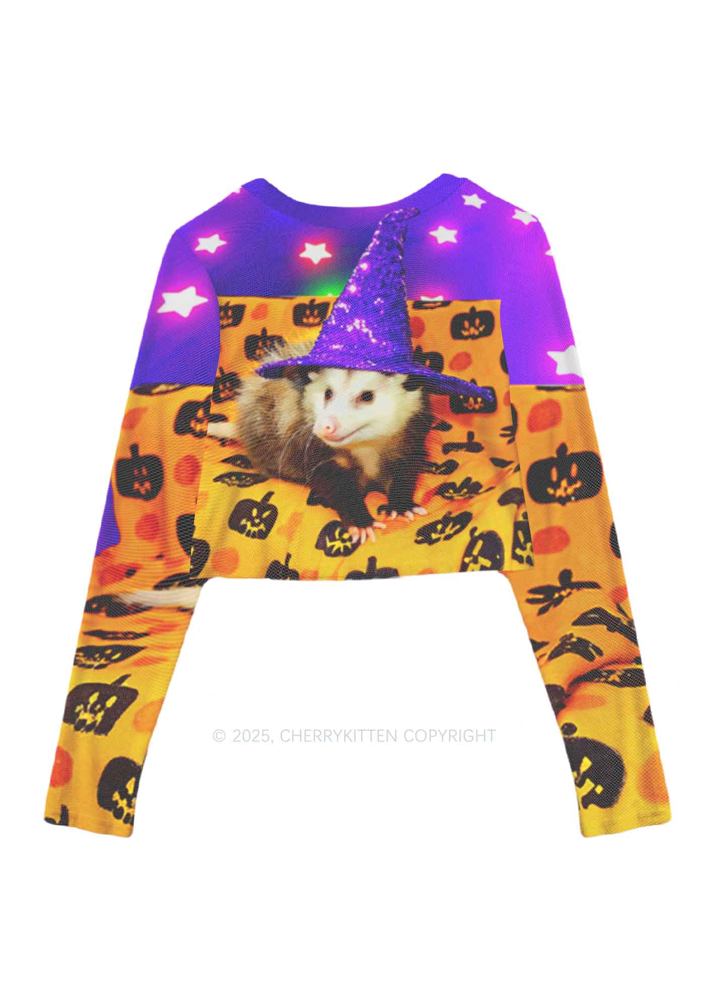 Halloween Sparkle Witch Ratz Y2K Mesh Long Sleeve Crop Top Cherrykitten