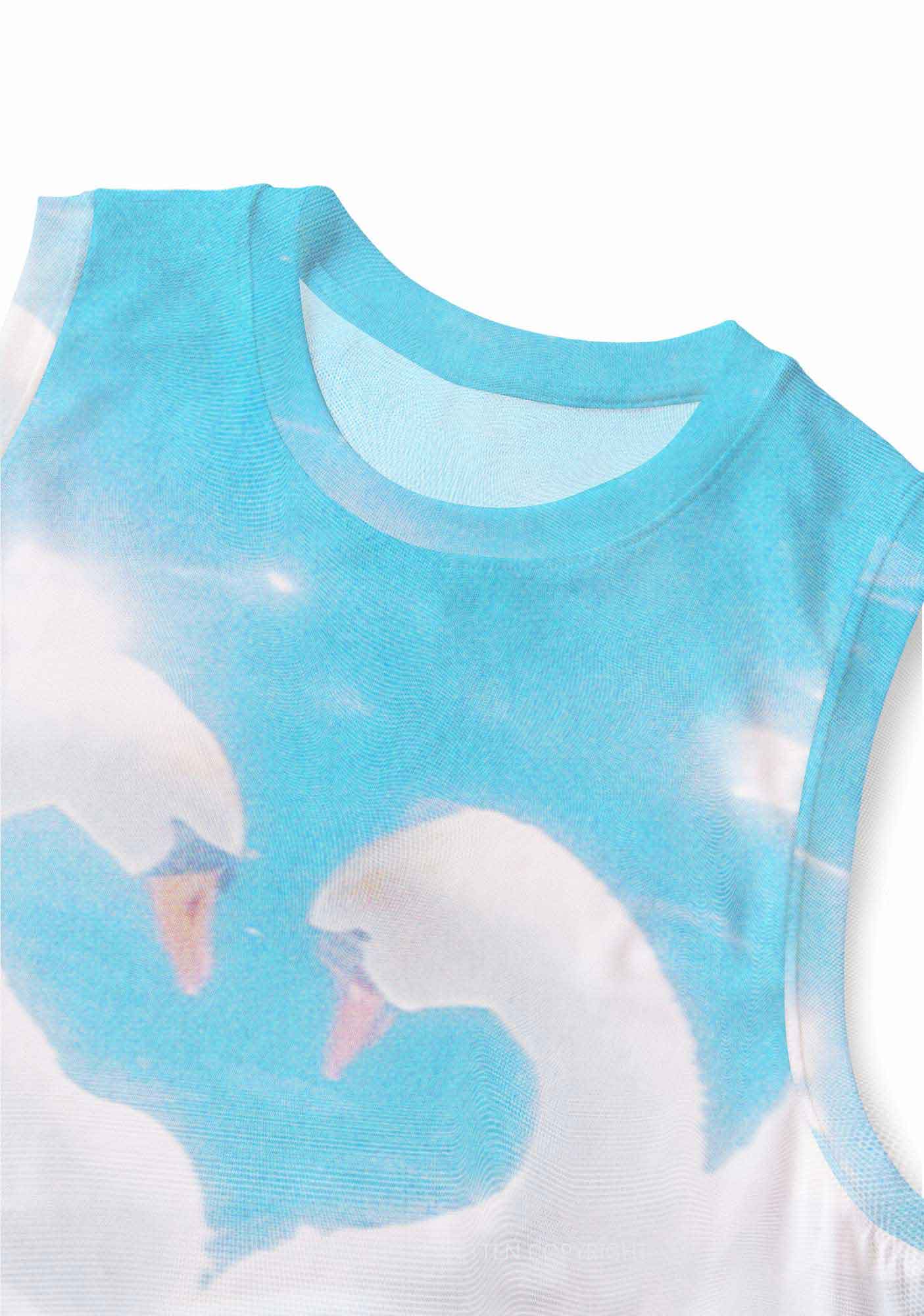 Swan Lovers Y2K Mesh Muscle Tank Cherrykitten