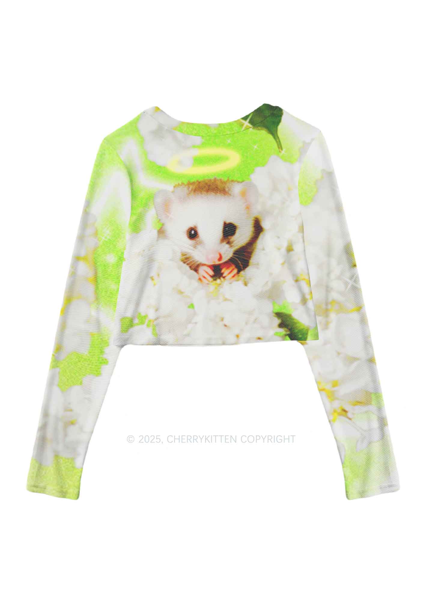 Flower Angel Ratz Y2K Mesh Long Sleeve Crop Top Cherrykitten