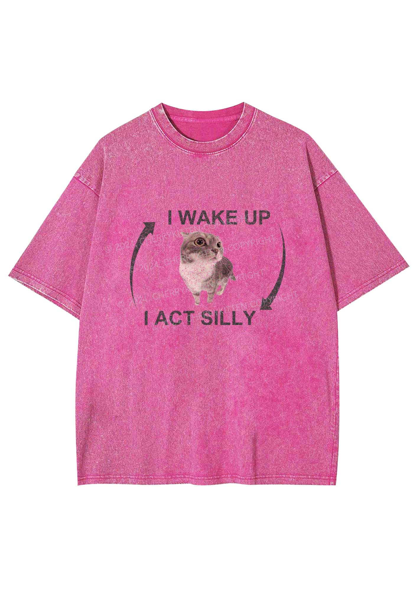 Wake Up Act Silly Y2K Washed Tee Cherrykitten