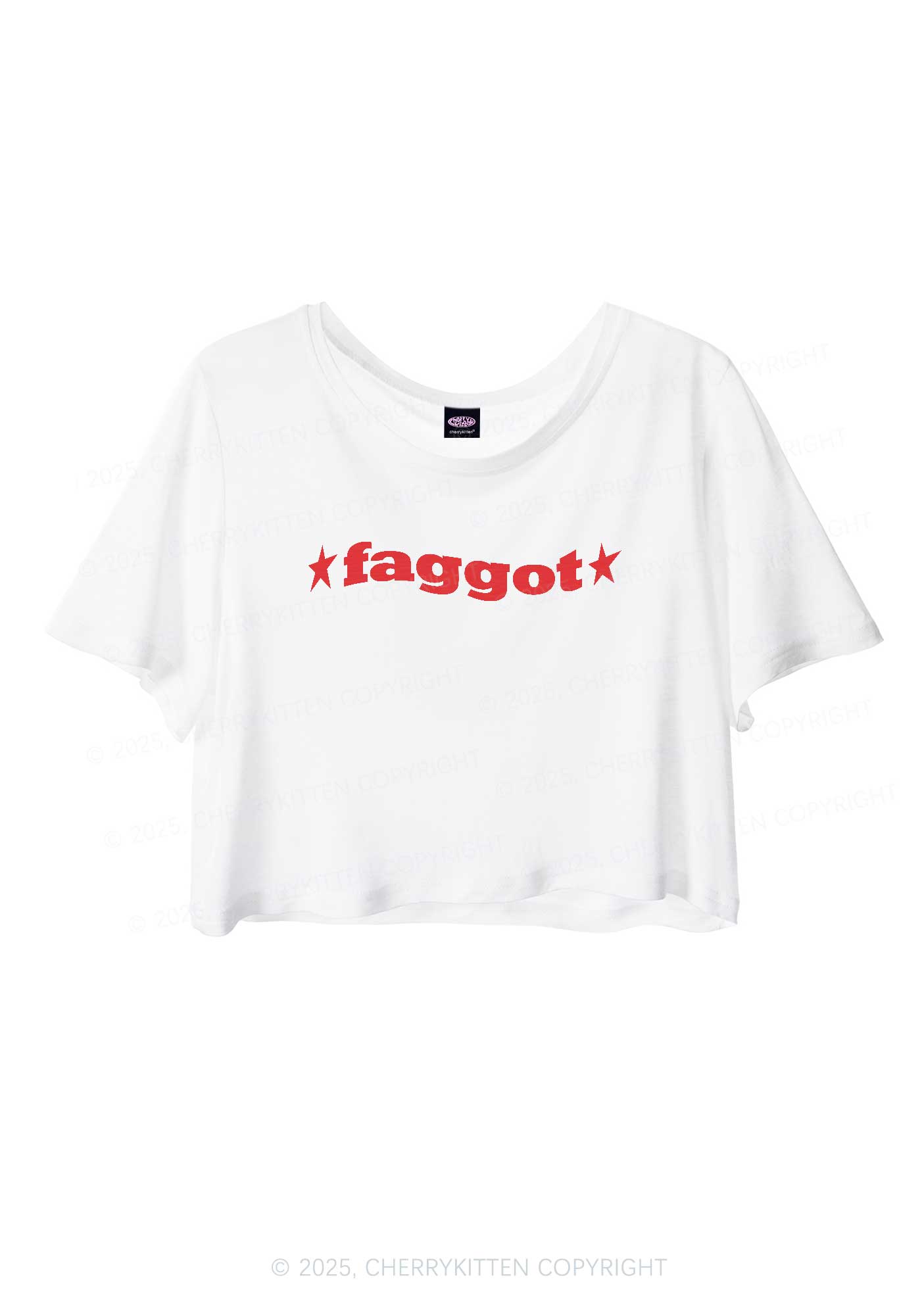 Red Faggot Pride Y2K Sheer Crop Tee Cherrykitten