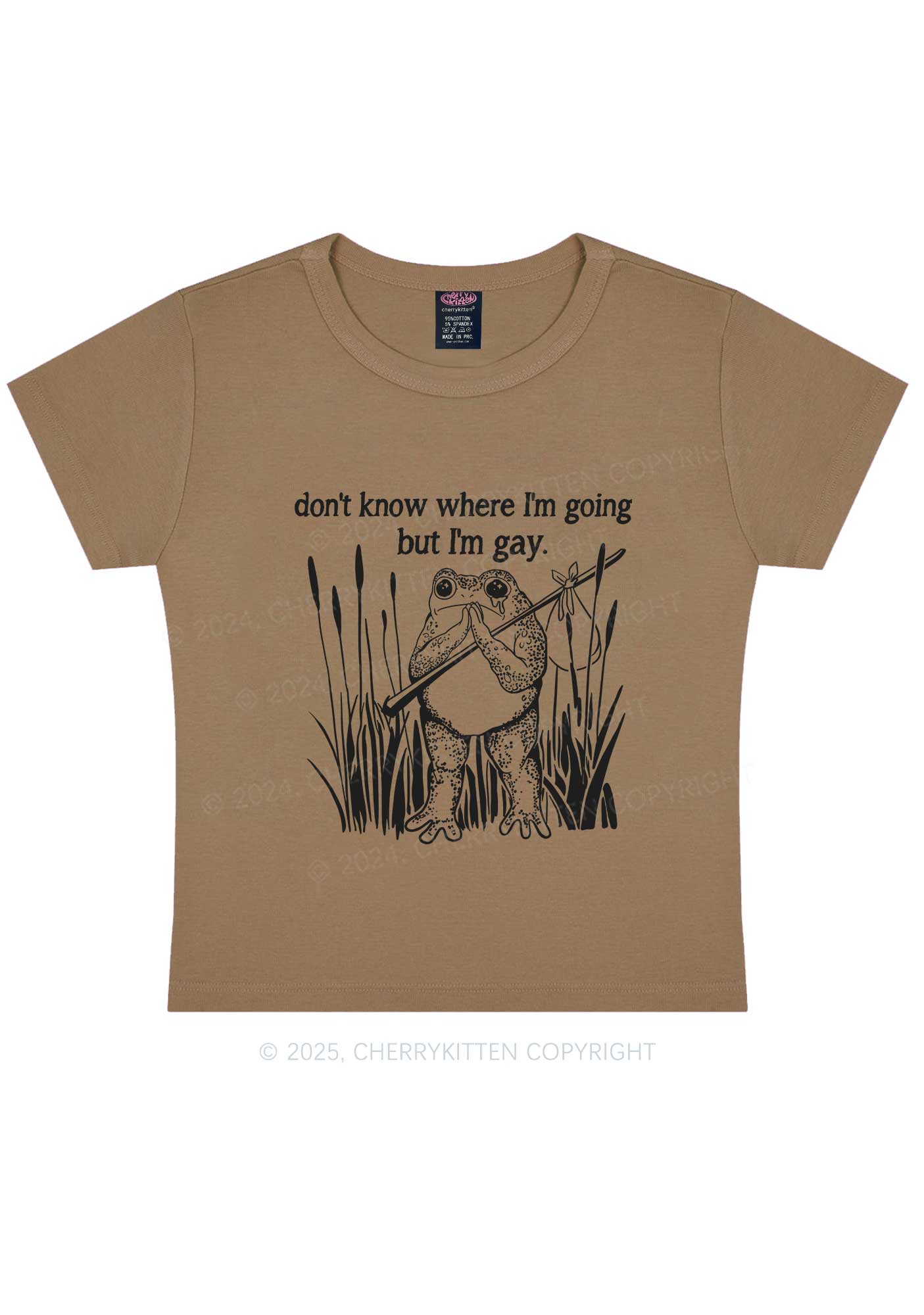 But I Am Gay Frog Pride Y2K Baby Tee Cherrykitten