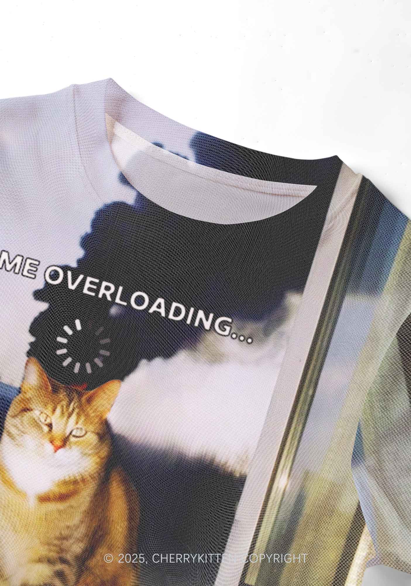 The Overloading Cat Y2K Mesh Crop Top Cherrykitten