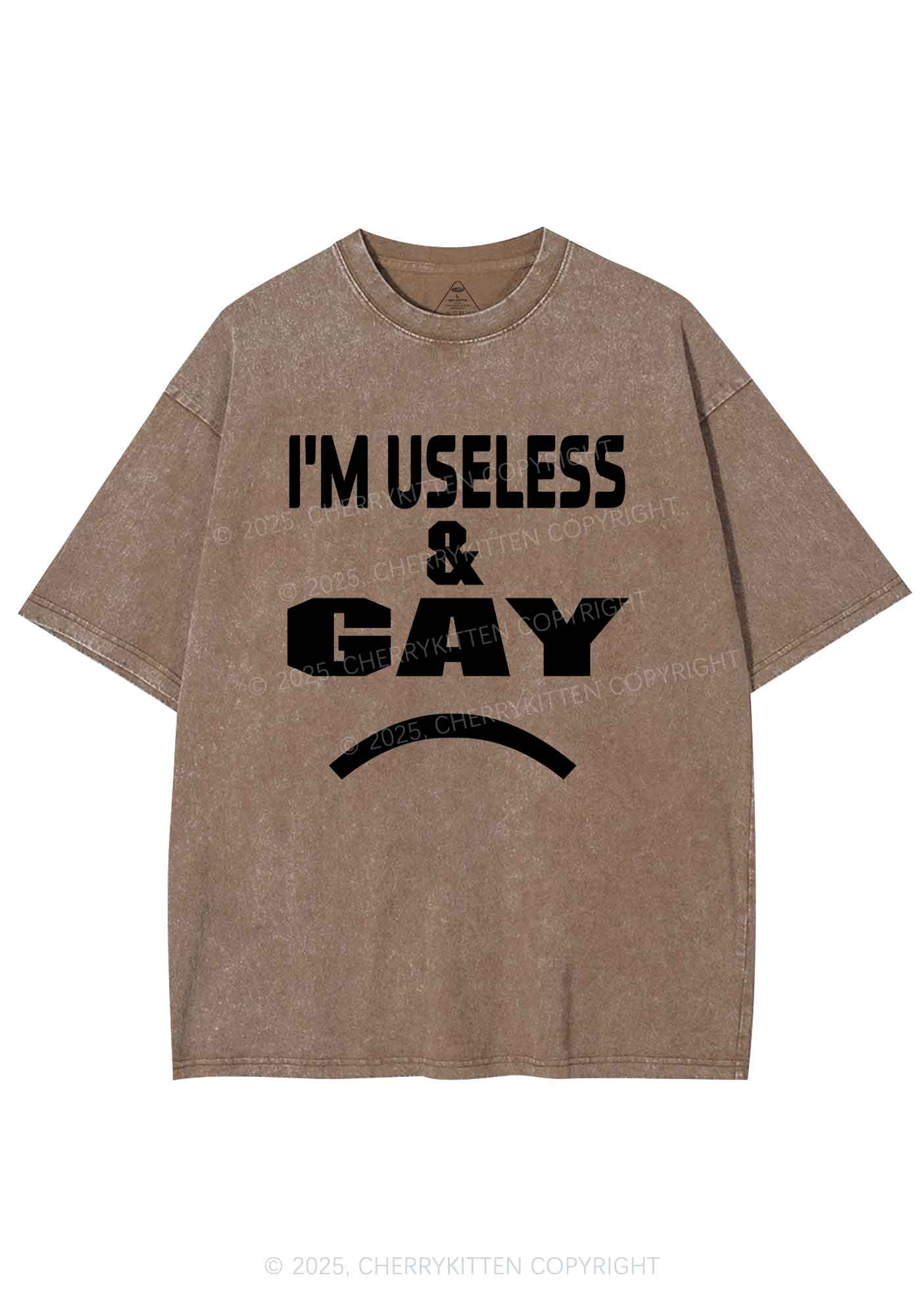 Useless Gay Pride Y2K Shirts Washed Tee Cherrykitten