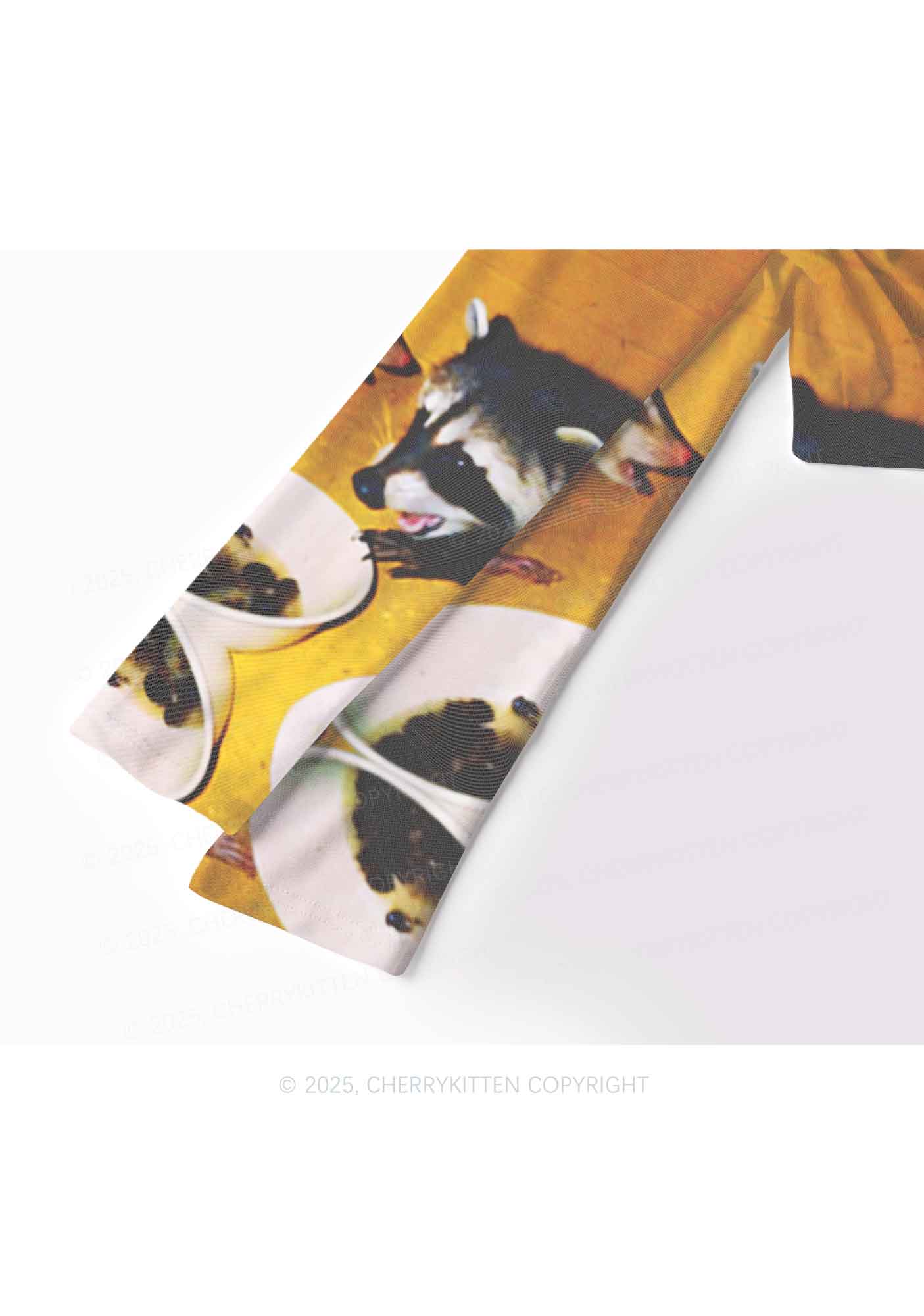 Raccoon Meal Y2K Mesh Long Sleeve Crop Top Cherrykitten