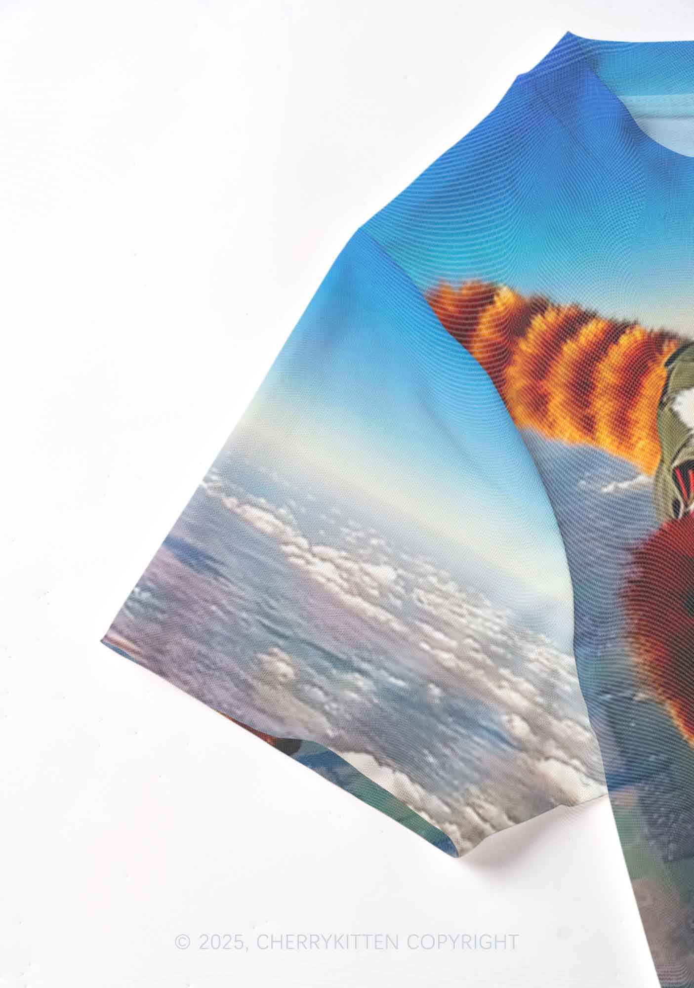 Flying Cool Raccoon Y2K Mesh Crop Top Cherrykitten