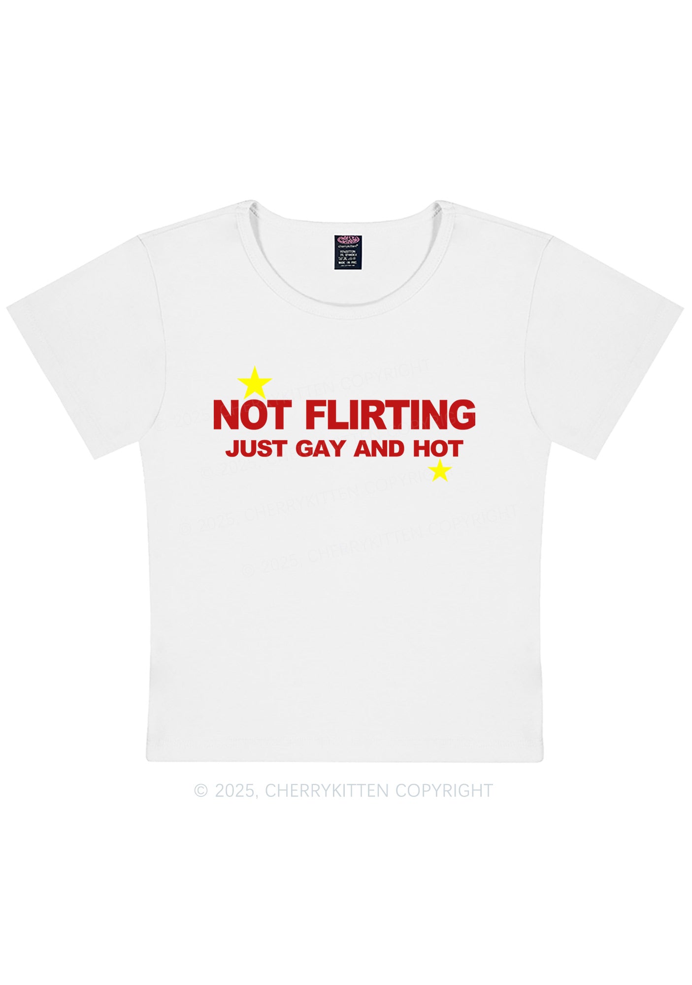 Not Flirting Pride Y2K Baby Tee Cherrykitten