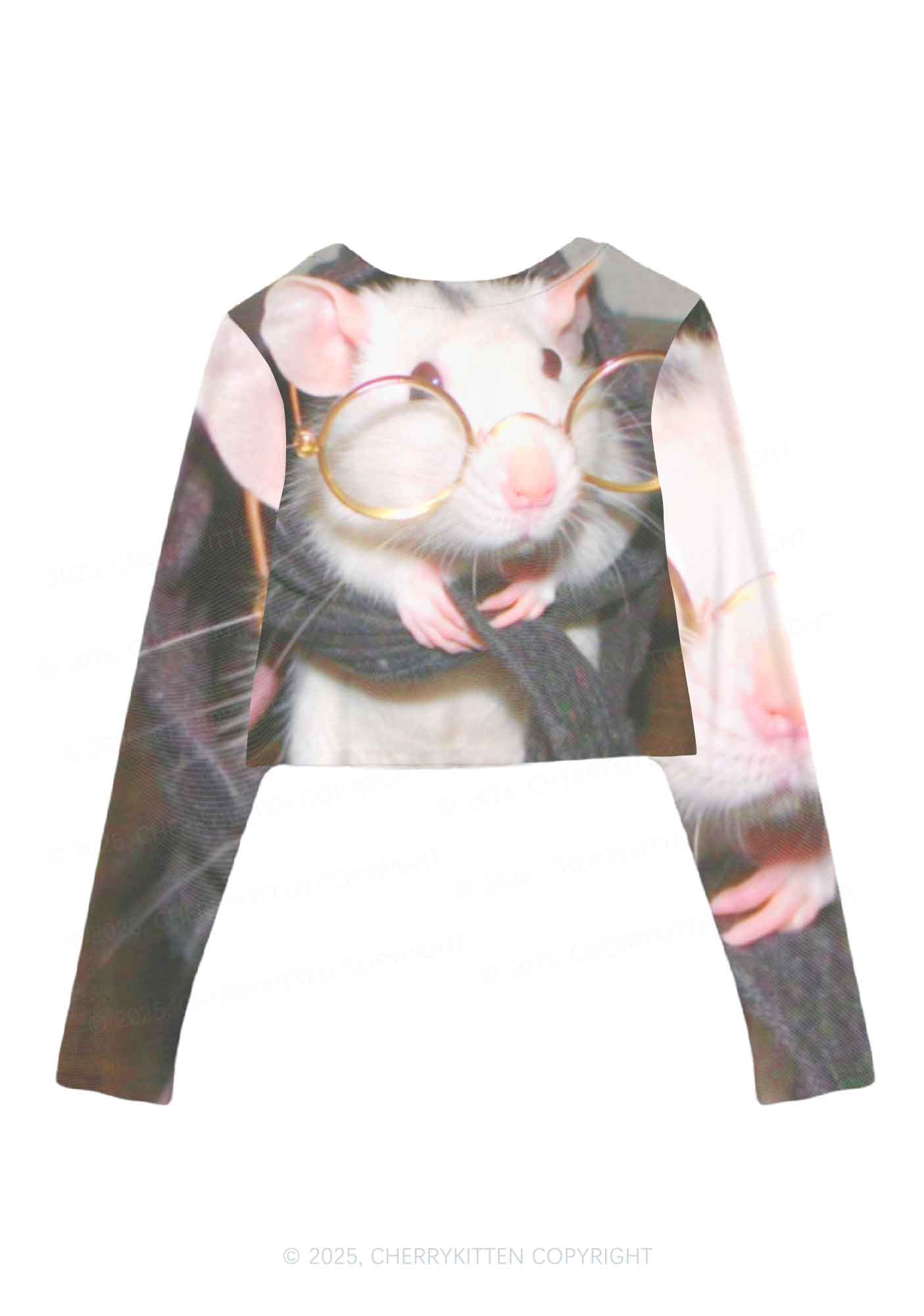 Glasses Rat Y2K Mesh Long Sleeve Crop Top Cherrykitten