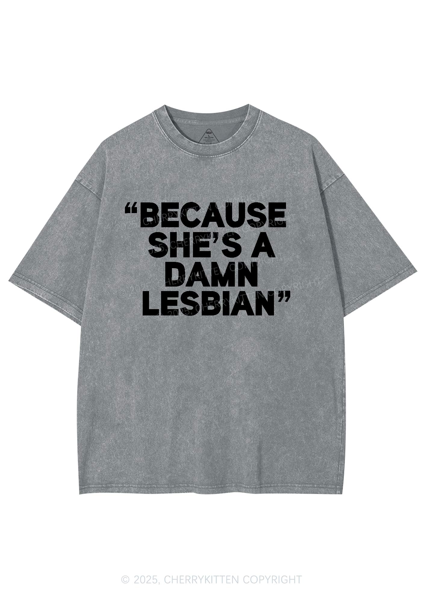 She's A Damn Lesbian Y2K Shirts Washed Tee Cherrykitten