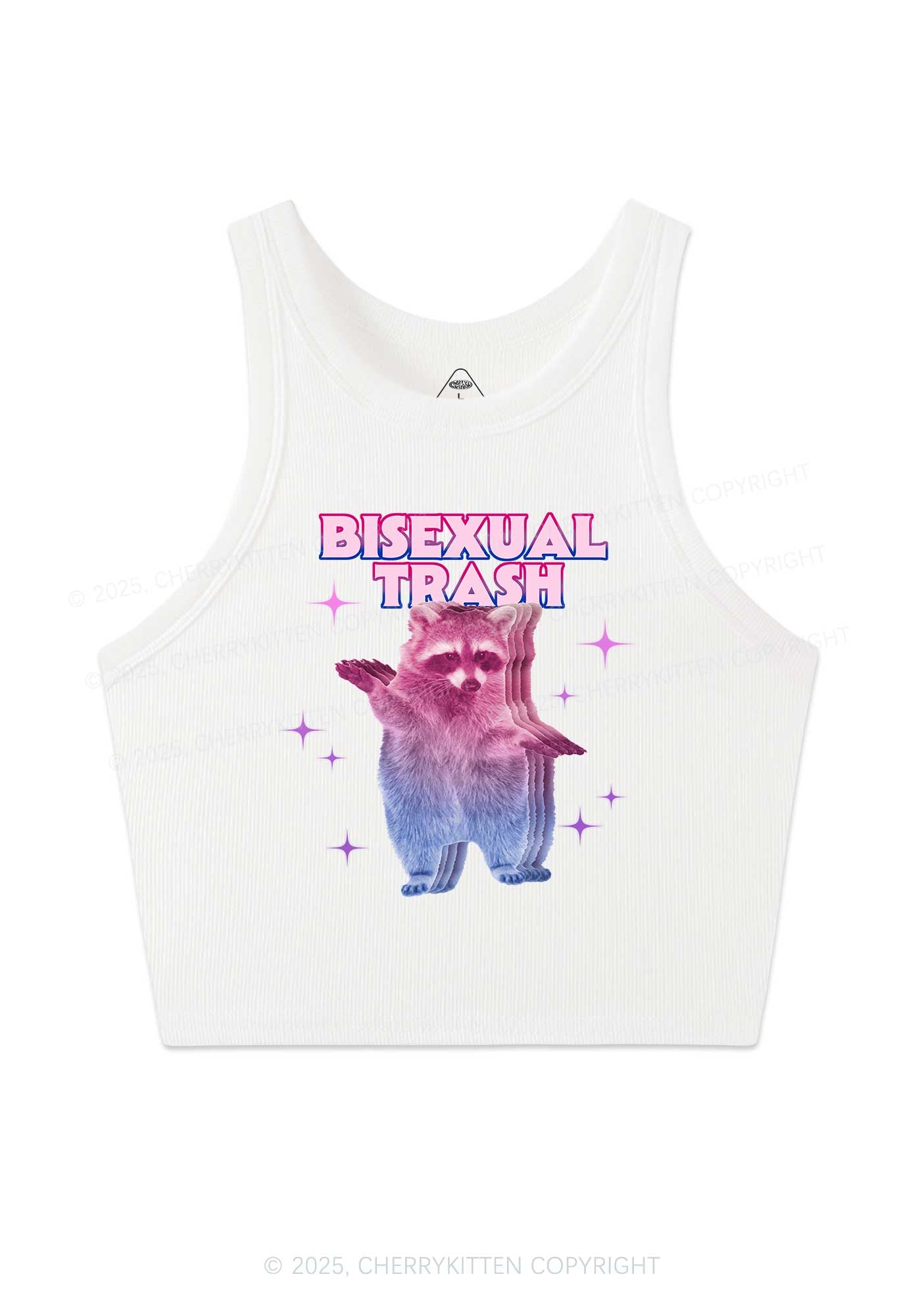 Bisexual Trash Raccoon Pride Y2K Crop Tank Top Cherrykitten