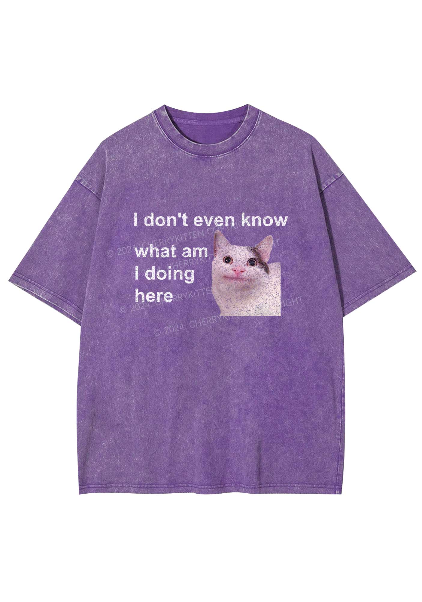 What Am I Doing Here Y2K Washed Tee Cherrykitten
