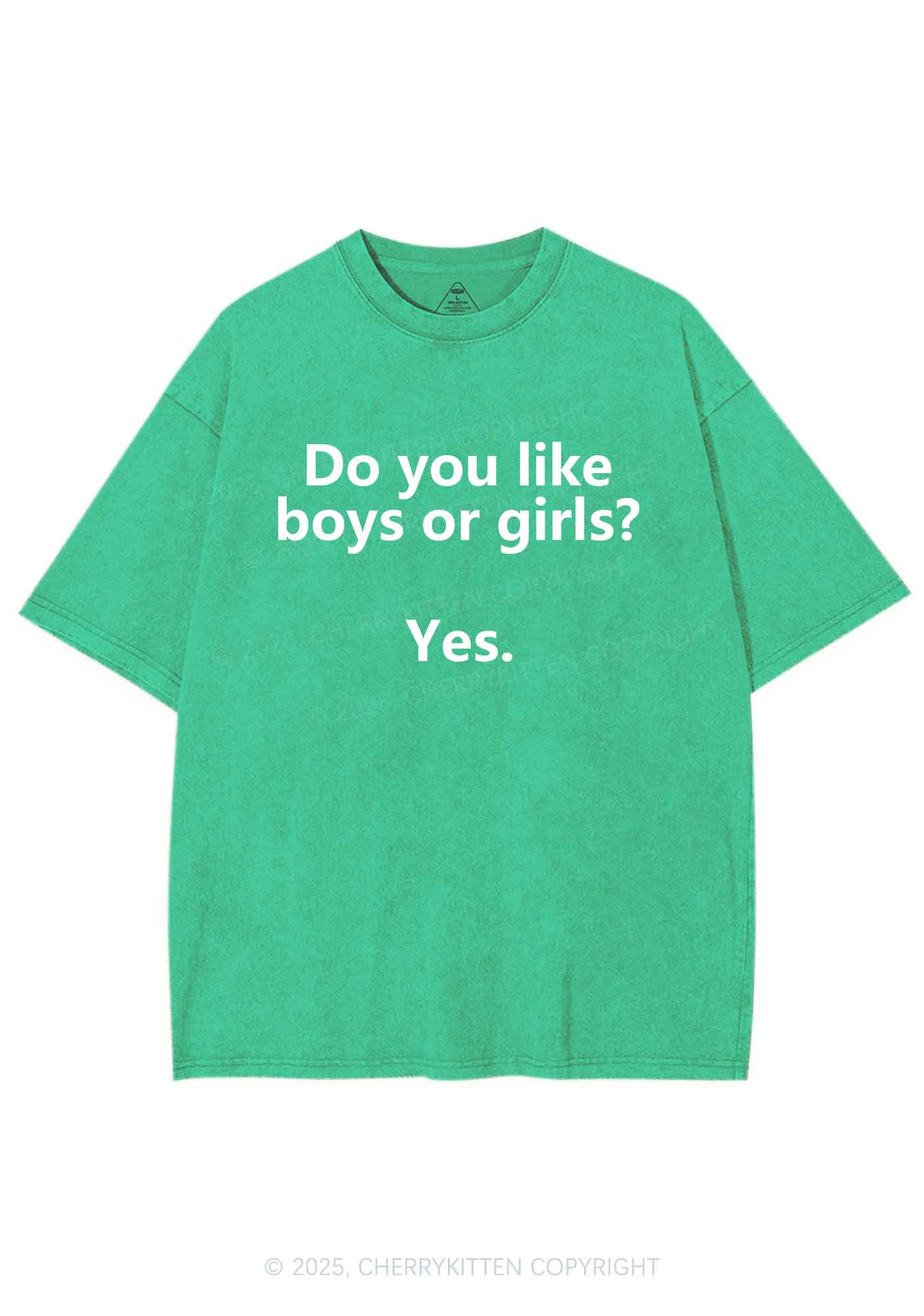Do You Like Boys Or Girls Pride Y2K Shirts Washed Tee Cherrykitten