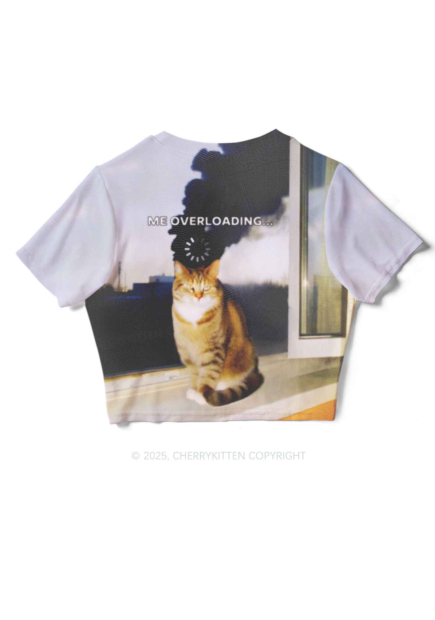 The Overloading Cat Y2K Mesh Crop Top Cherrykitten