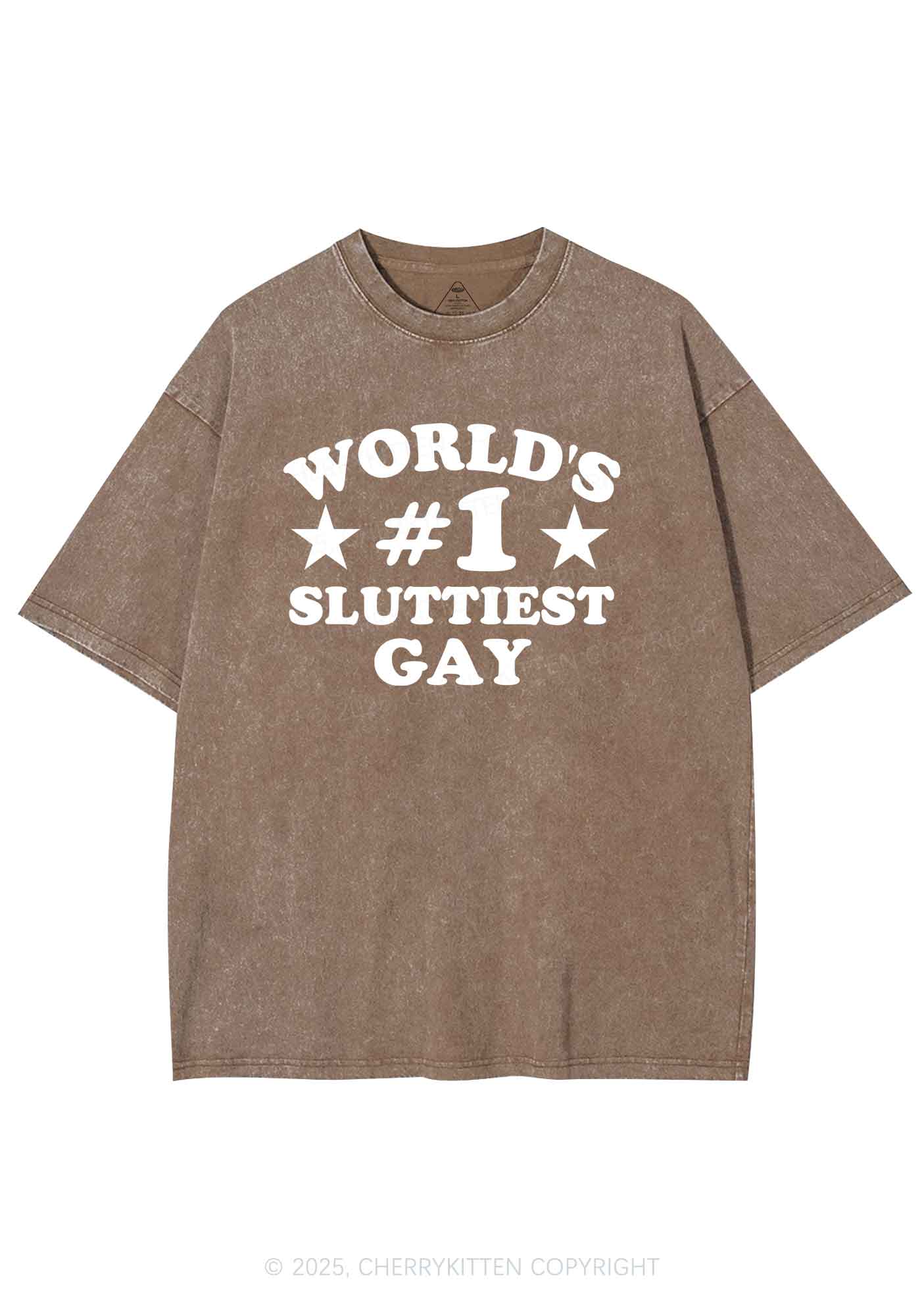 Worlds First Slxttiest Gay Pride Y2K Shirts Washed Tee Cherrykitten