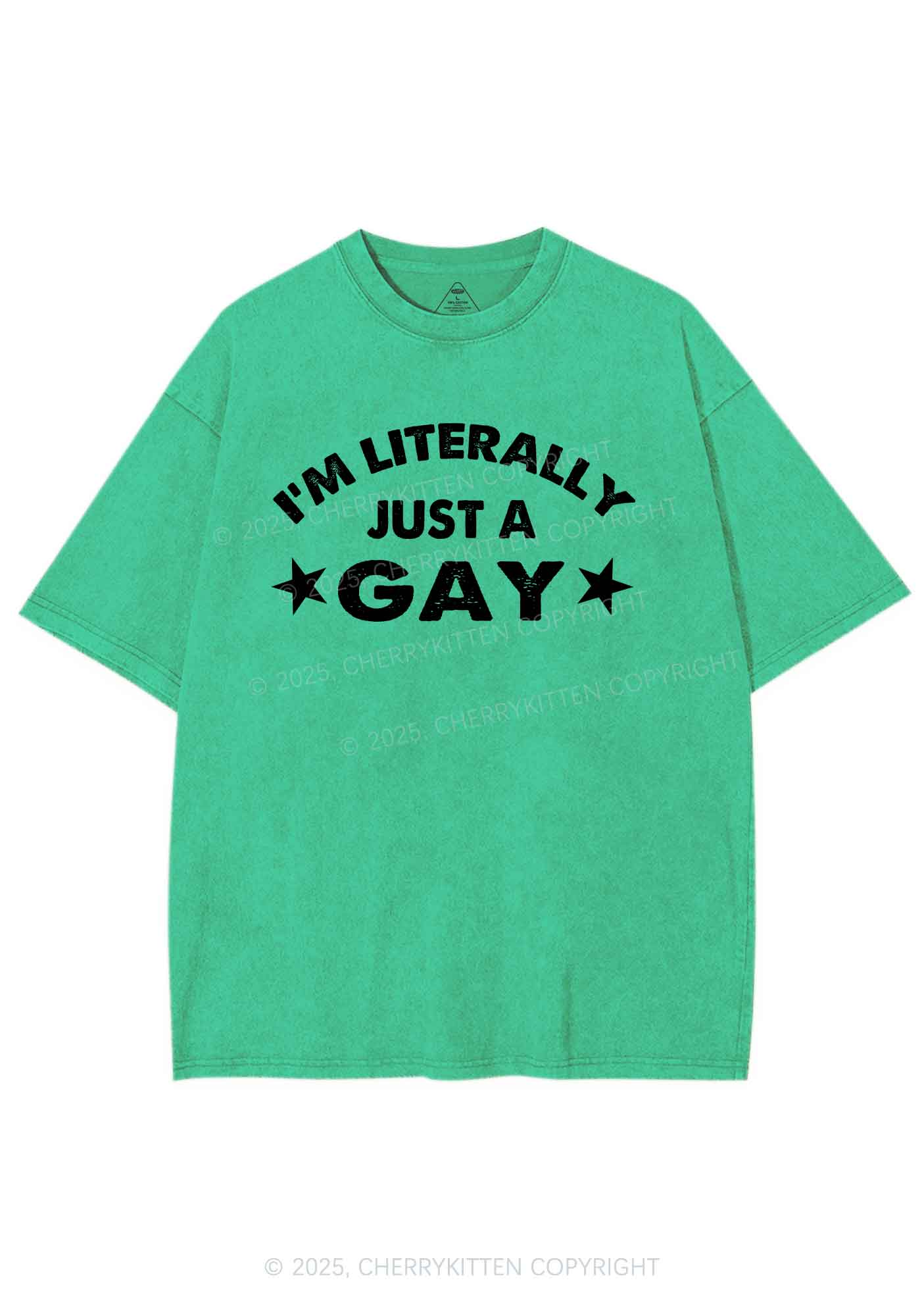 Literally Just A Gay Pride Y2K Shirts Washed Tee Cherrykitten