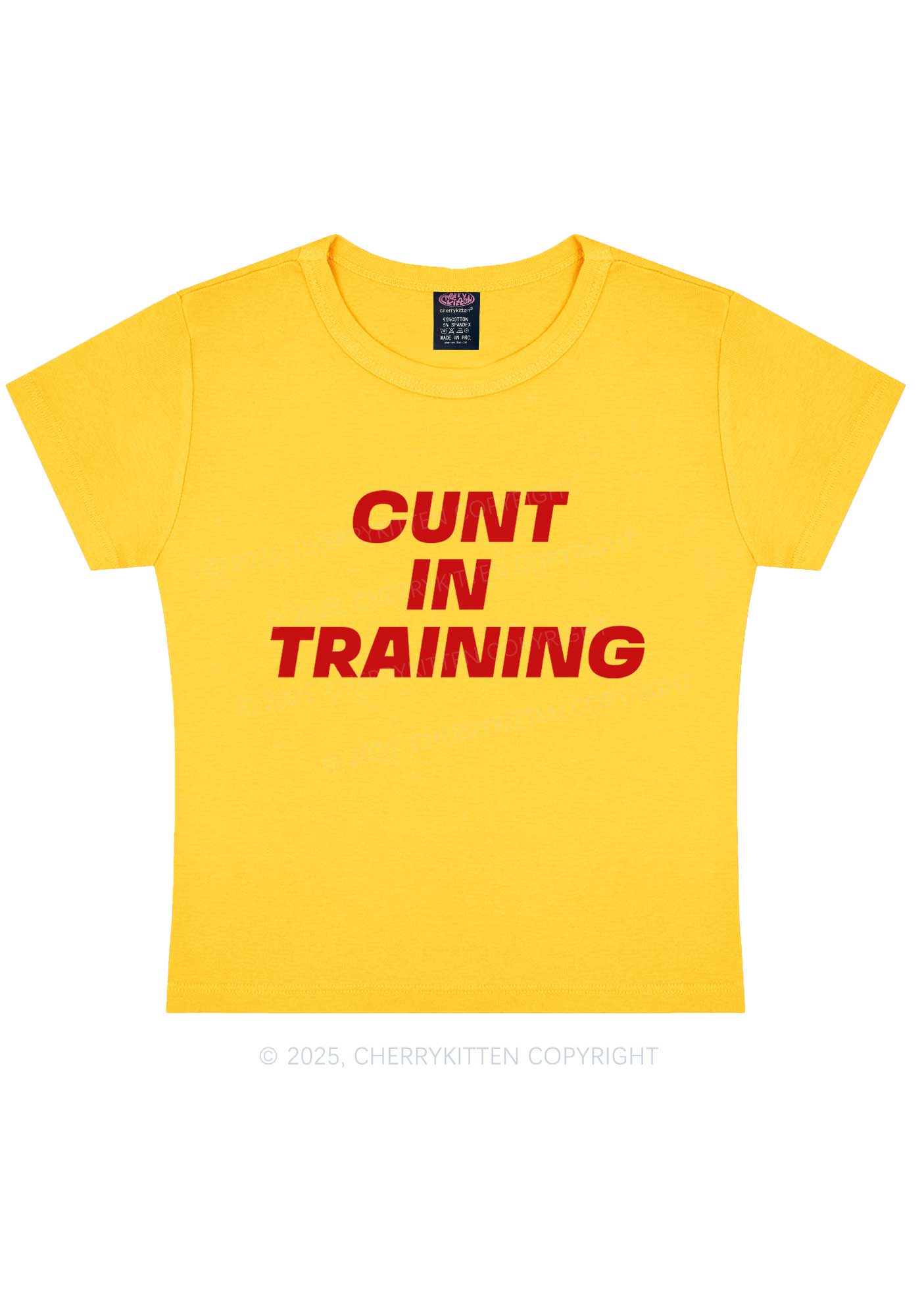 Cxxt In Training Y2K Baby Tee Cherrykitten