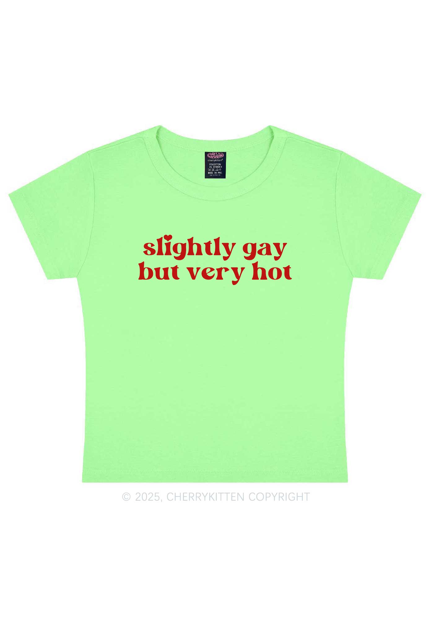 Slightly Gay But Very Hot Pride Y2K Baby Tee Cherrykitten
