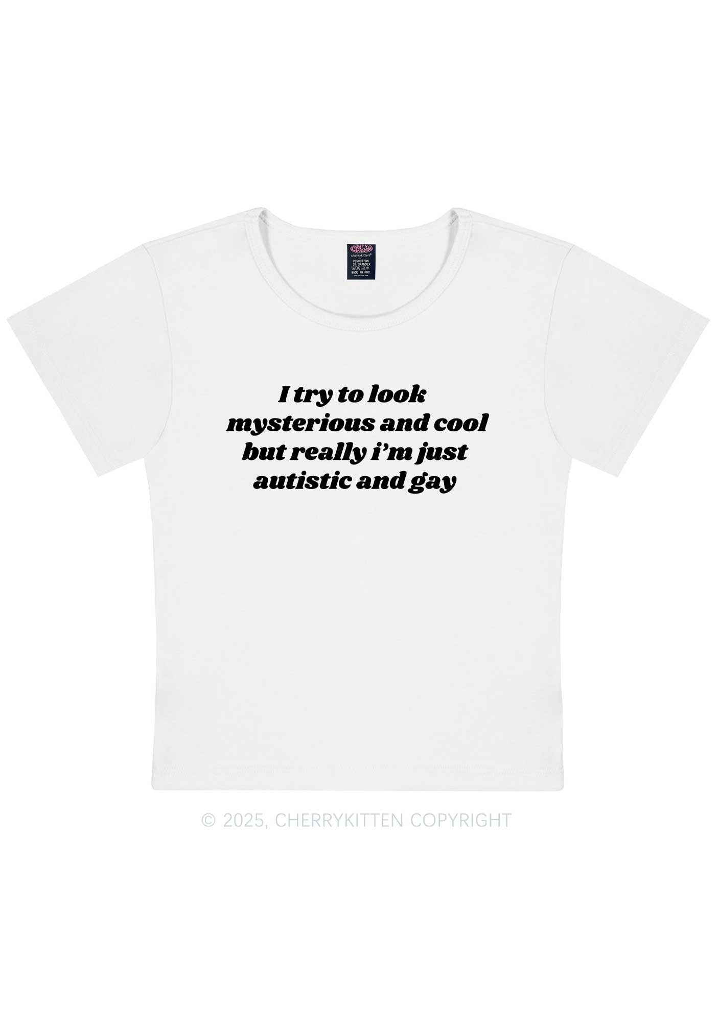 Im Just Autistic And Gay Pride Y2K Baby Tee Cherrykitten