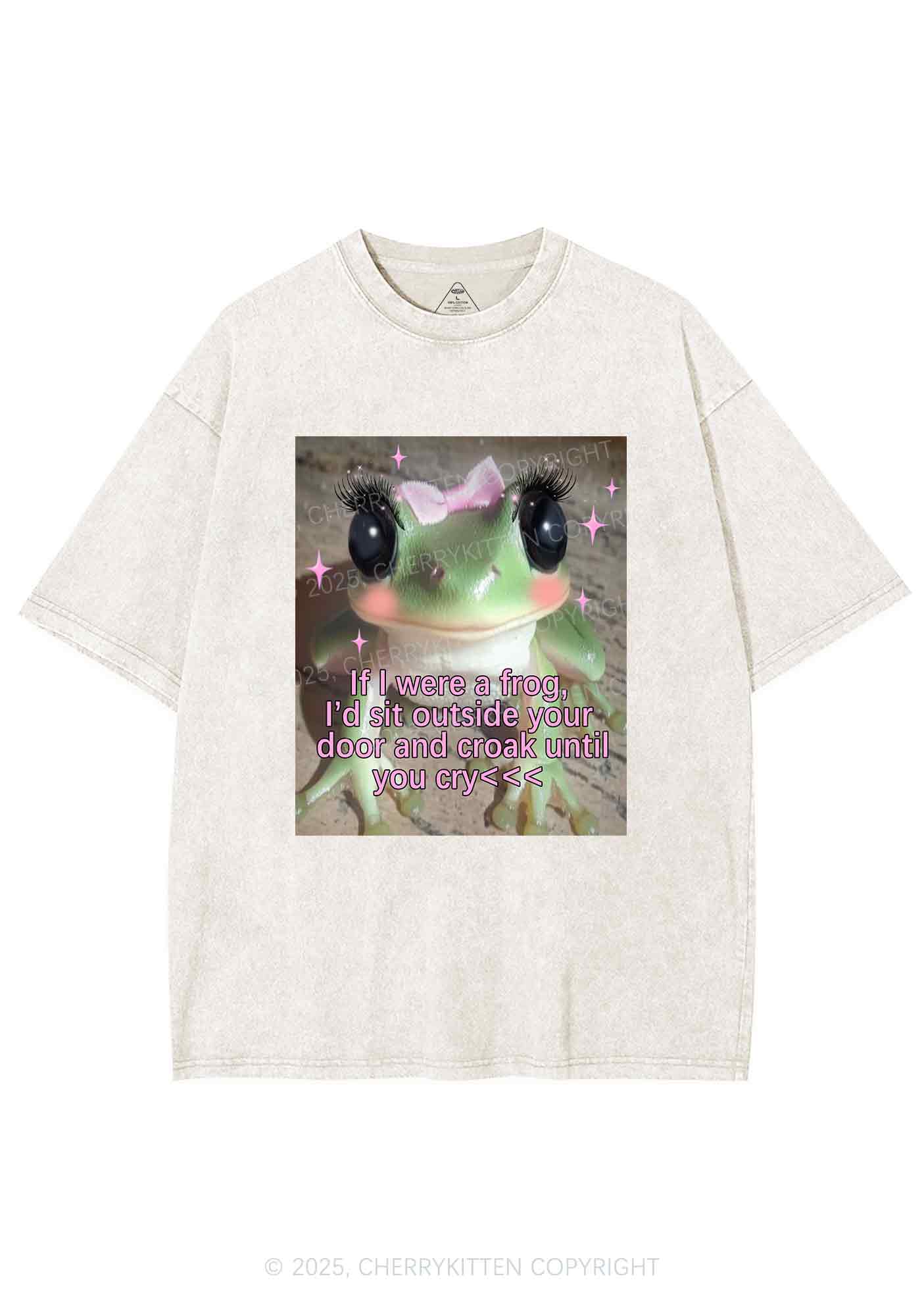If I Were Frog Y2K Shirts Washed Tee Cherrykitten