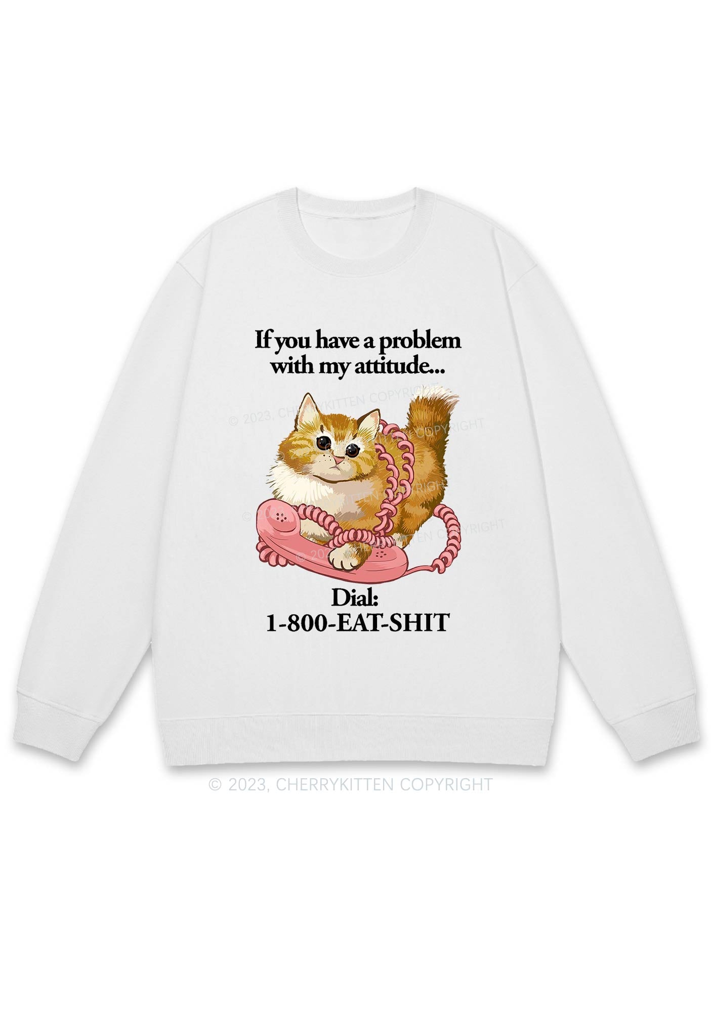 If You Have A Problem With My Attitude Y2K Sweatshirt Cherrykitten