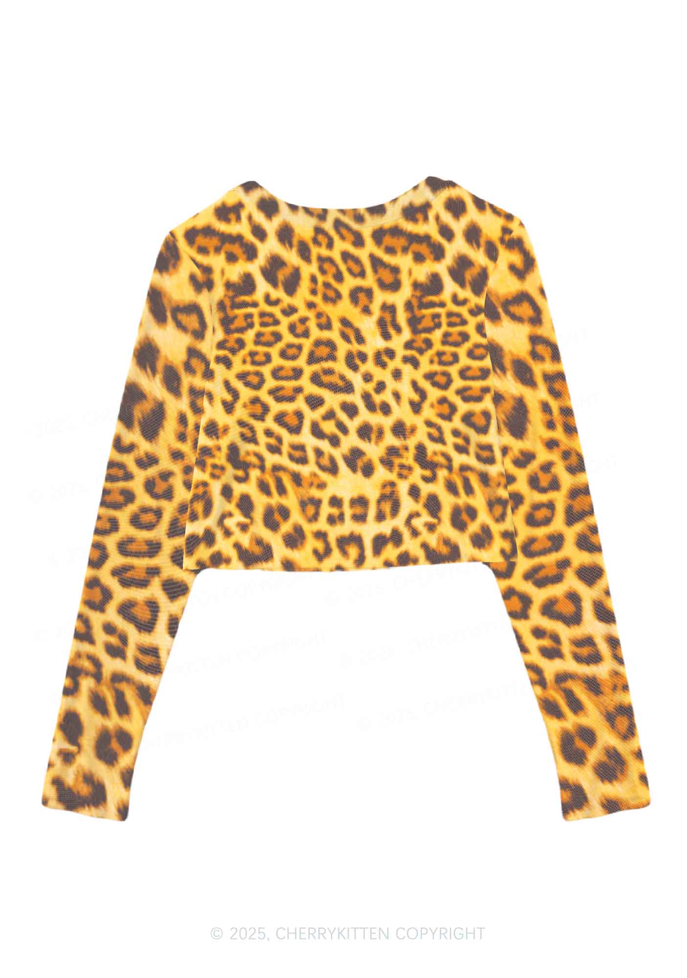 Cxxt Leopard Y2K Mesh Long Sleeve Crop Top Cherrykitten
