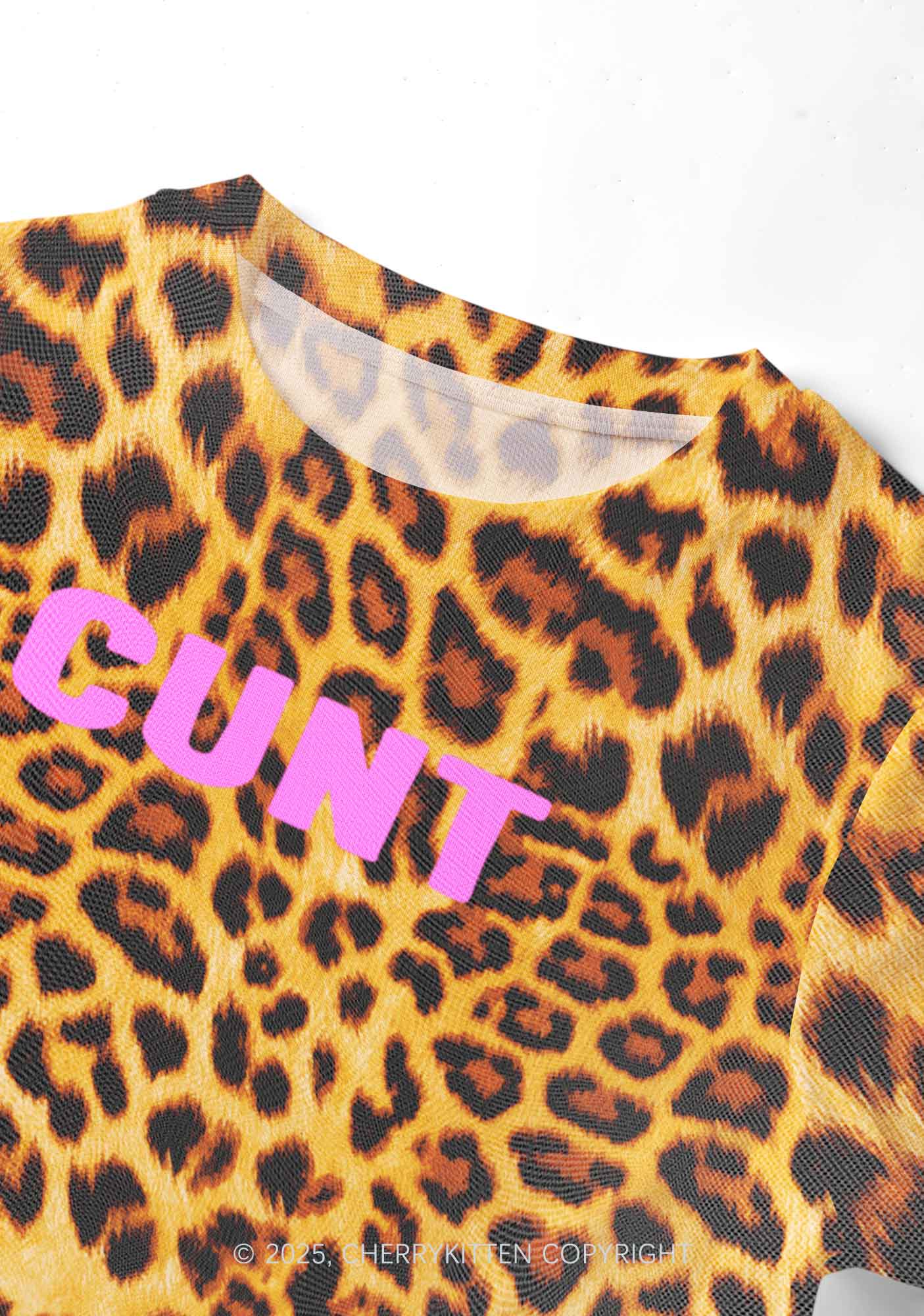 Cxxt Leopard Y2K Mesh Crop Top Cherrykitten