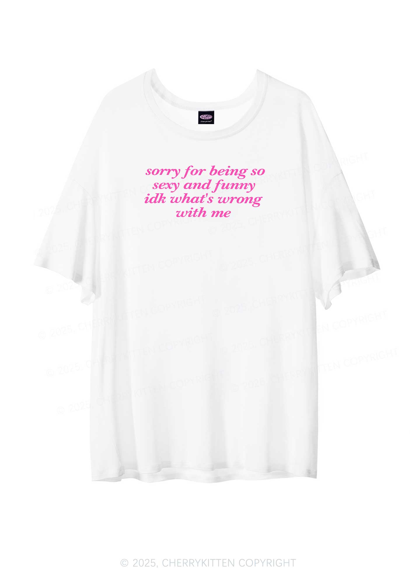 Sorry For Being So Funny Y2K Sheer Boyfriend Tee Cherrykitten