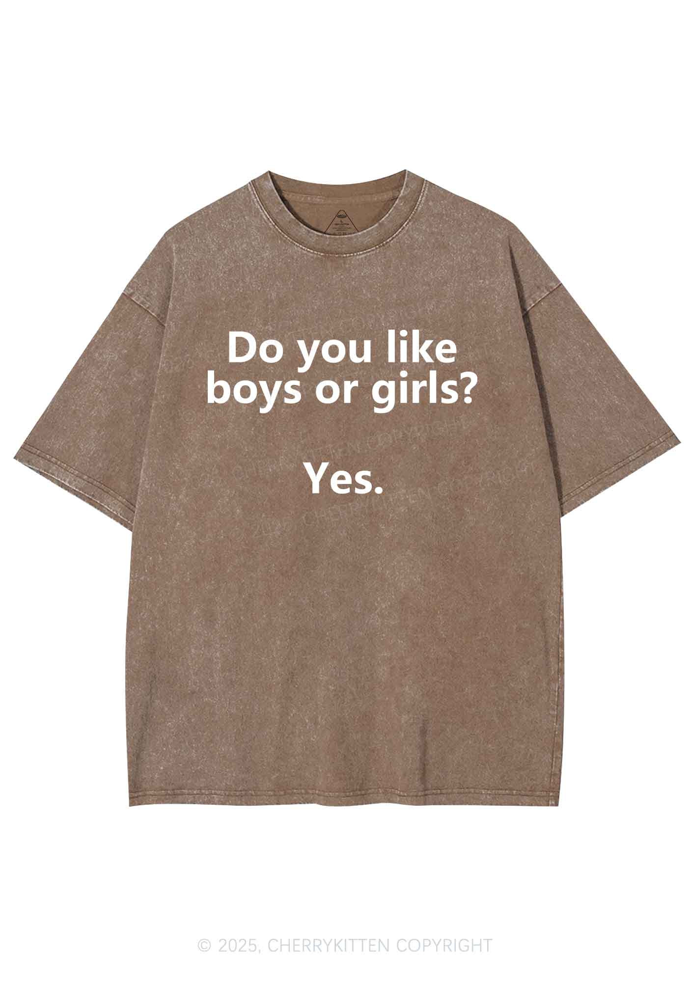 Do You Like Boys Or Girls Pride Y2K Shirts Washed Tee Cherrykitten