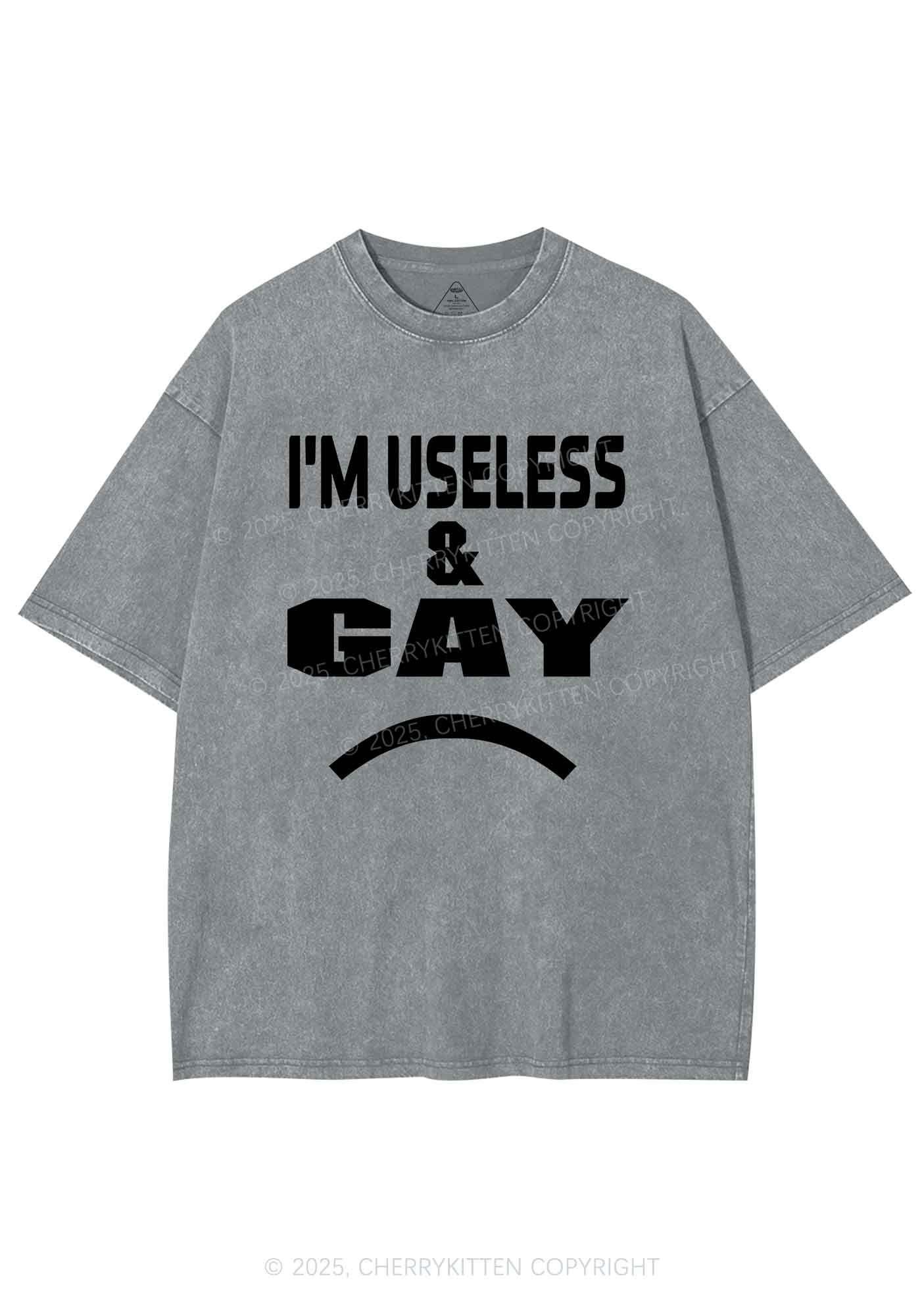 Useless Gay Pride Y2K Shirts Washed Tee Cherrykitten
