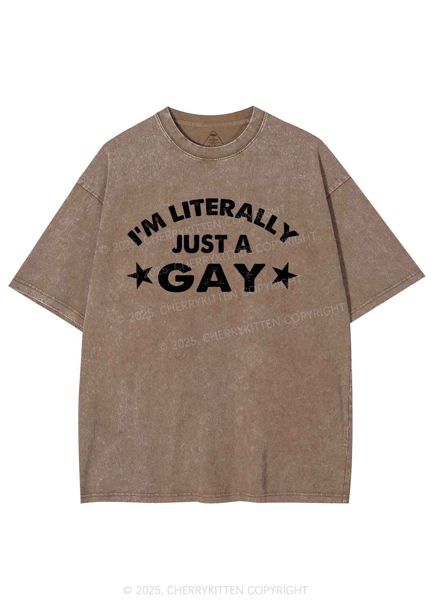 Literally Just A Gay Pride Y2K Shirts Washed Tee Cherrykitten