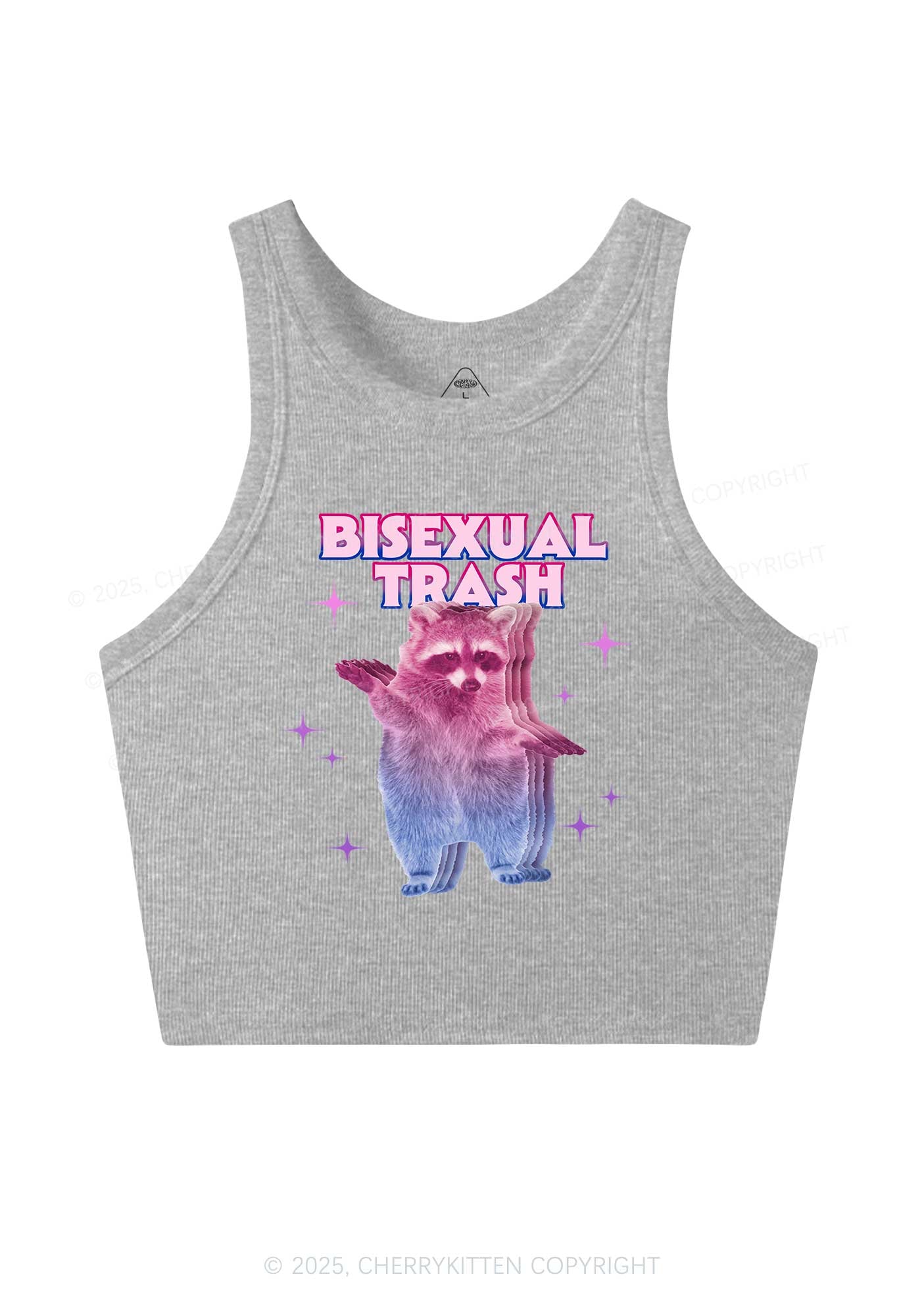 Bisexual Trash Raccoon Pride Y2K Crop Tank Top Cherrykitten