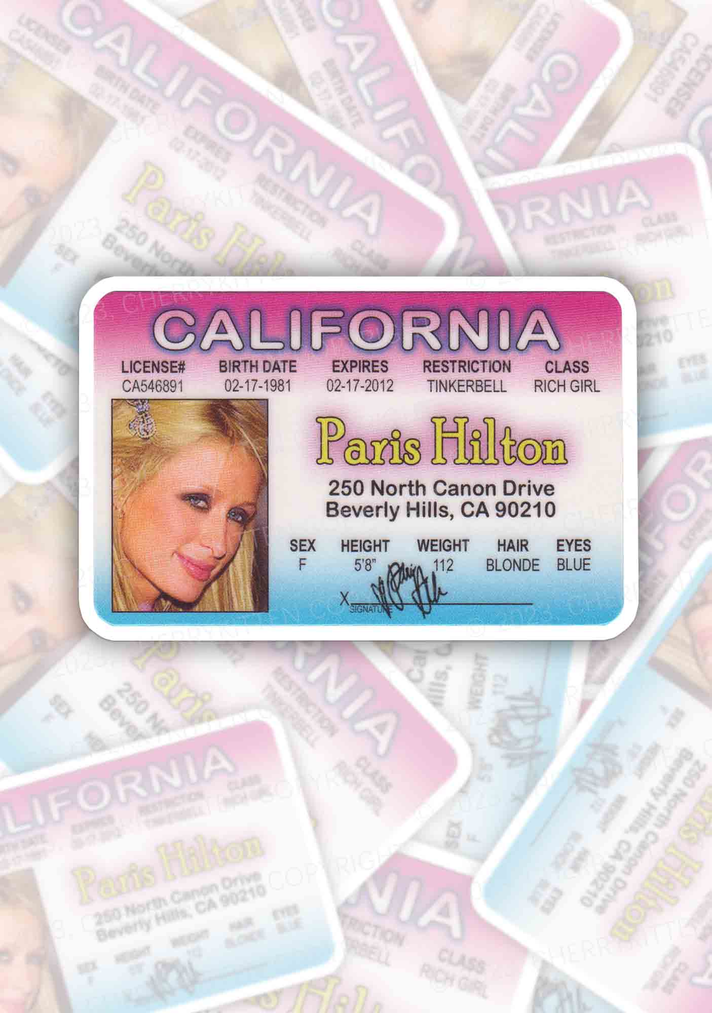 California ID Card 1Pc Y2K Sticker Cherrykitten