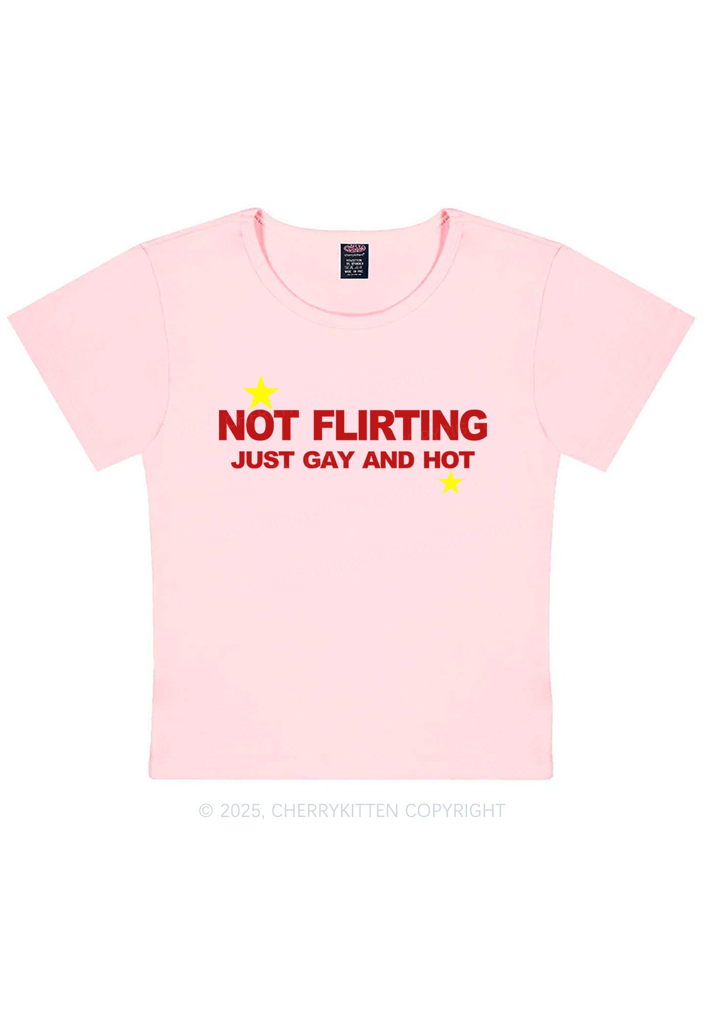 Not Flirting Pride Y2K Baby Tee Cherrykitten
