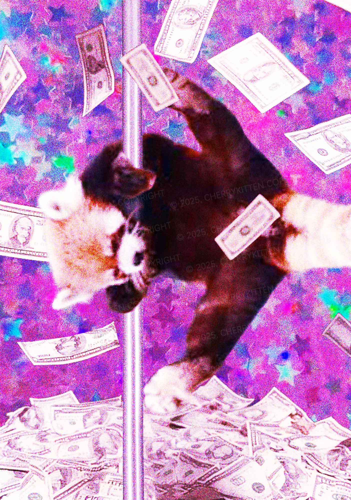 Pole Dancing Raccoon Y2K Mesh Long Sleeve Crop Top Cherrykitten