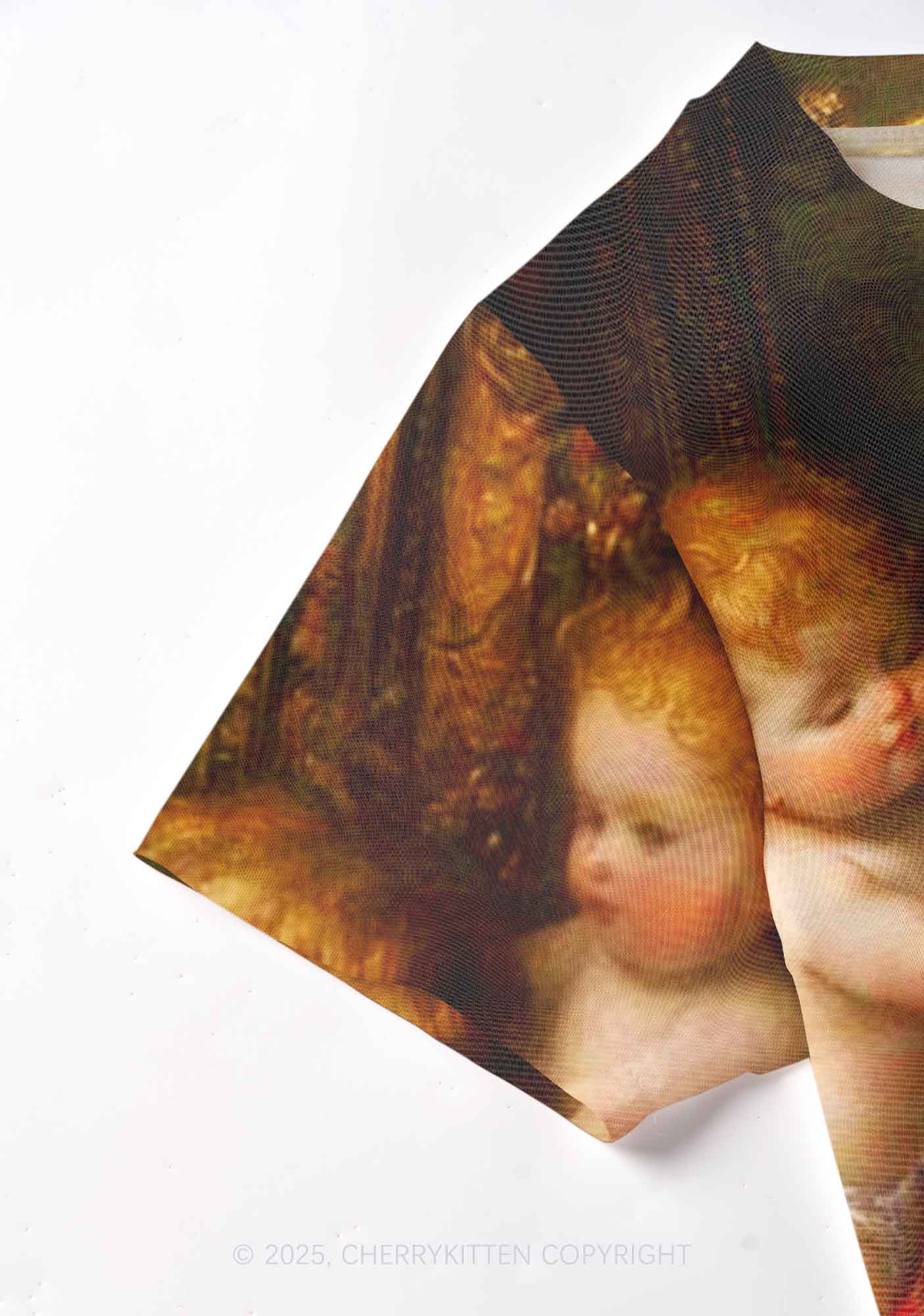The Cat King And Angels Y2K Mesh Crop Top Cherrykitten