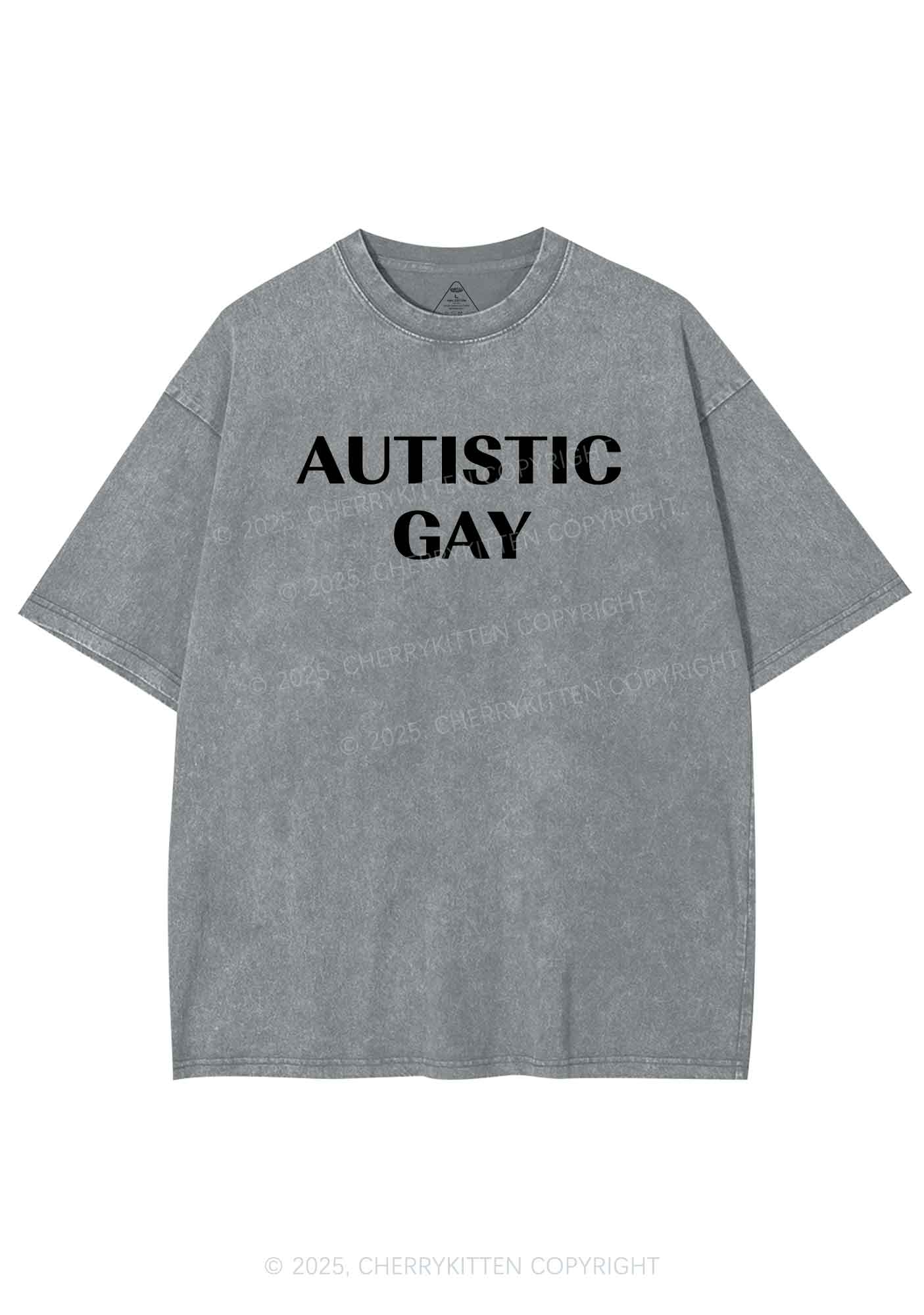 Autistic Gay Pride Y2K Shirts Washed Tee Cherrykitten