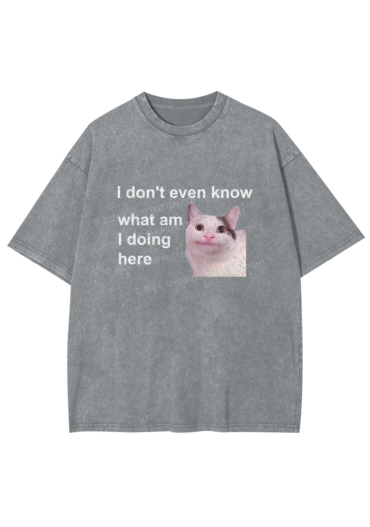 What Am I Doing Here Y2K Washed Tee Cherrykitten