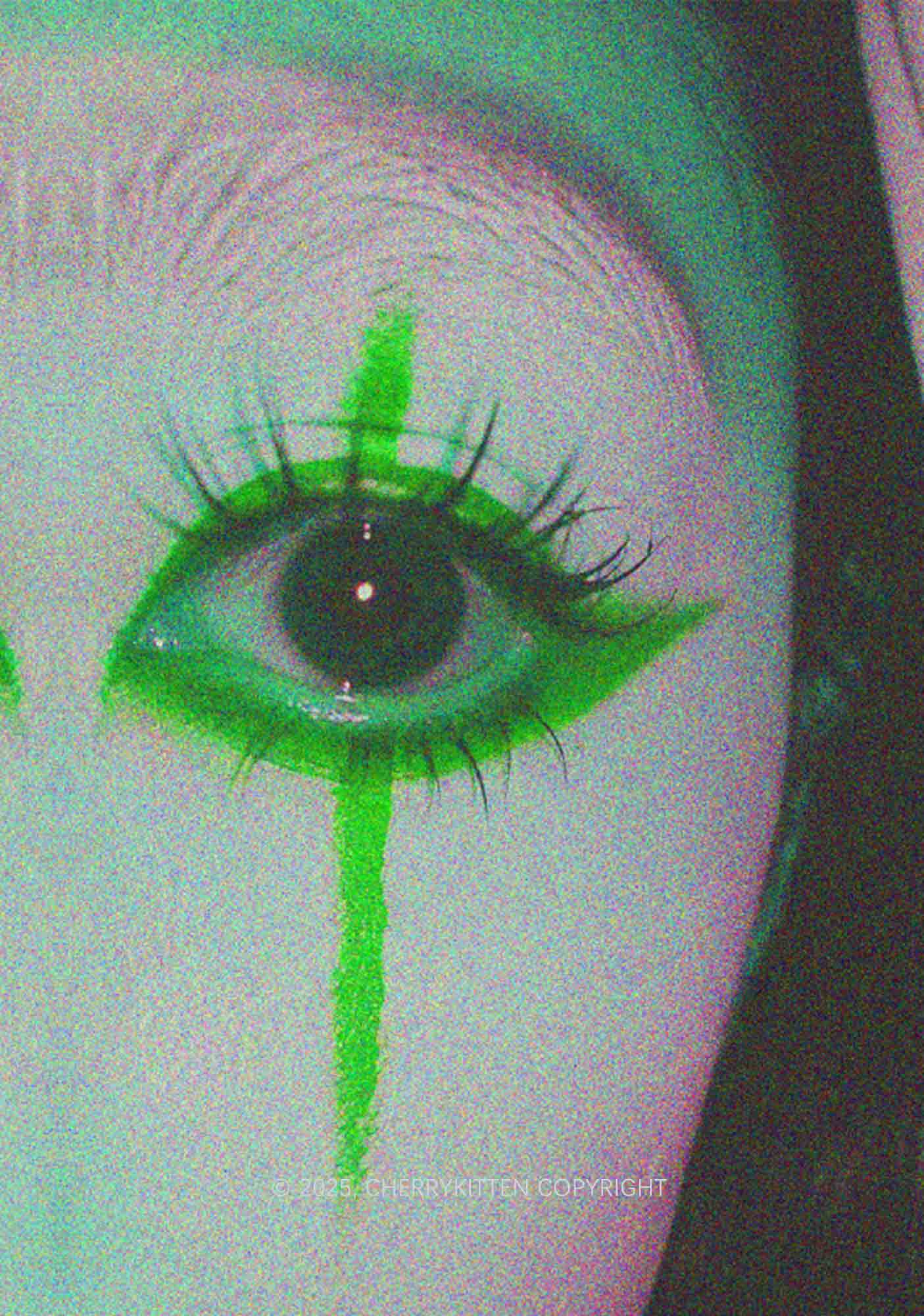 Halloween Cry Eye Y2K Mesh Crop Top Cherrykitten