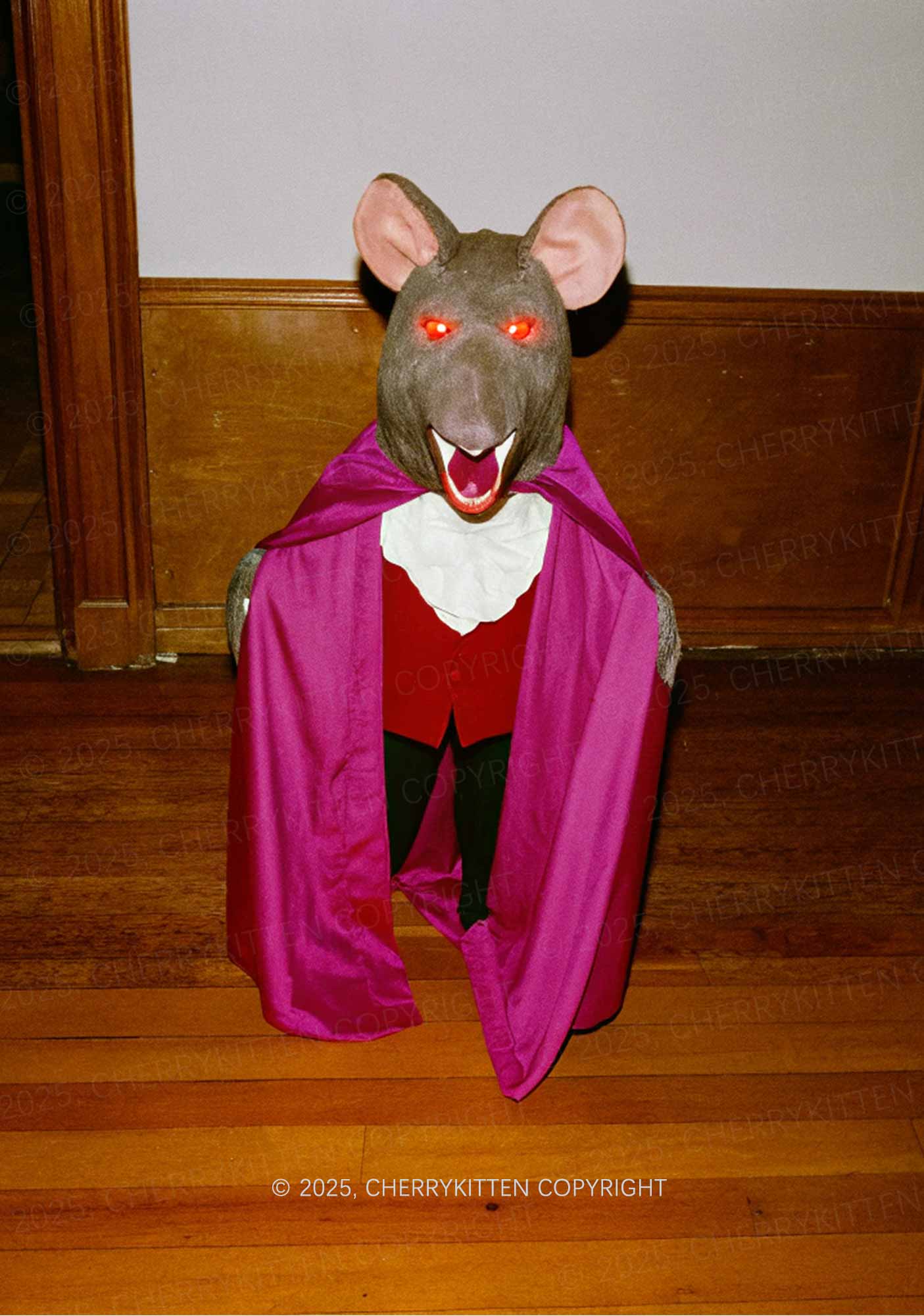 Caped Ratz Y2K Mesh Long Sleeve Crop Top Cherrykitten