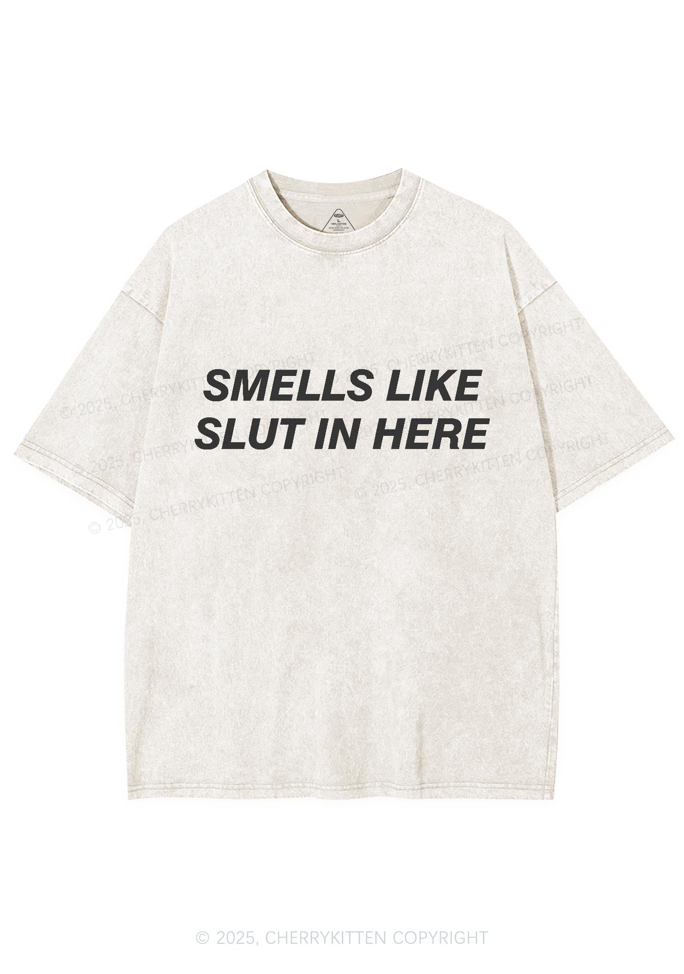 Smells Like Slxt Y2K Washed Tee Cherrykitten