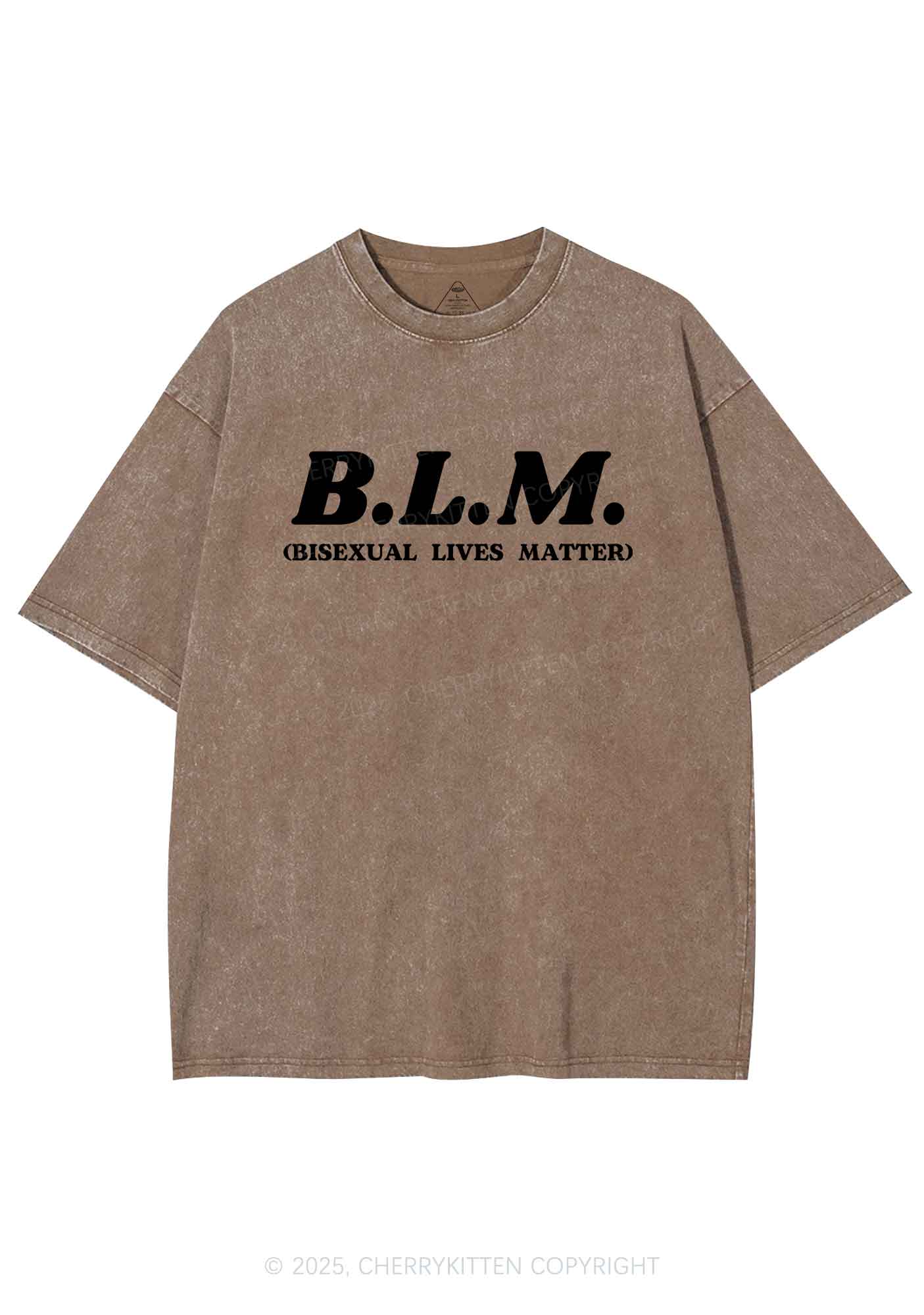 Bisexual Lives Matter Pride Y2K Shirts Washed Tee Cherrykitten