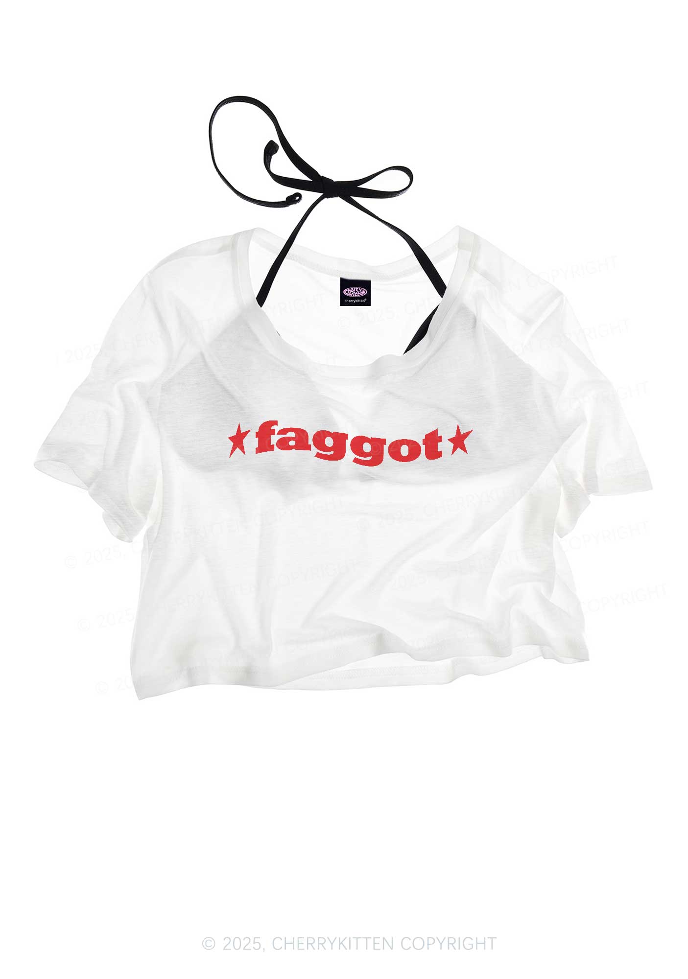 Red Faggot Pride Y2K Sheer Crop Tee Cherrykitten
