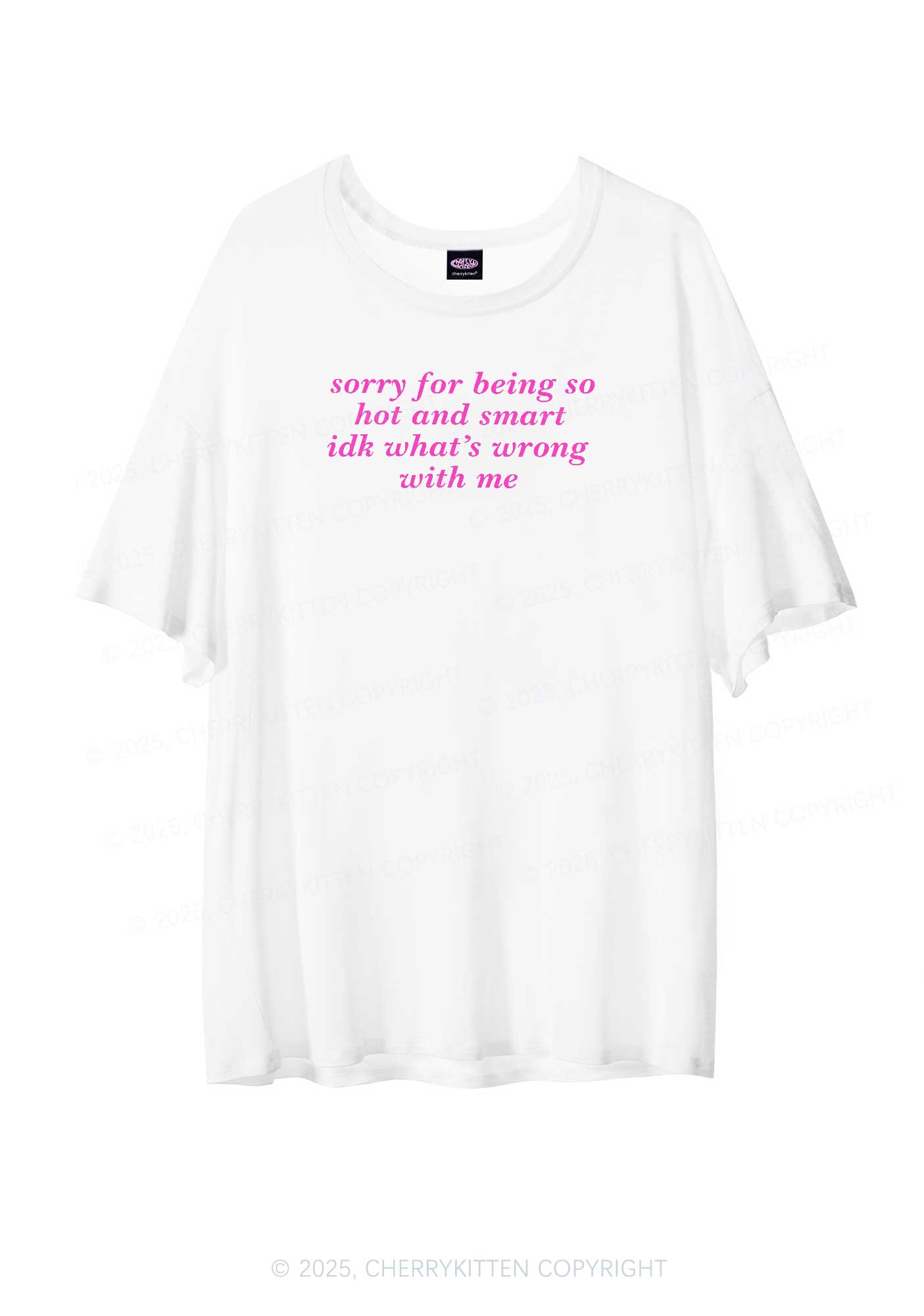 Sorry For Being So Smart Y2K Sheer Boyfriend Tee Cherrykitten