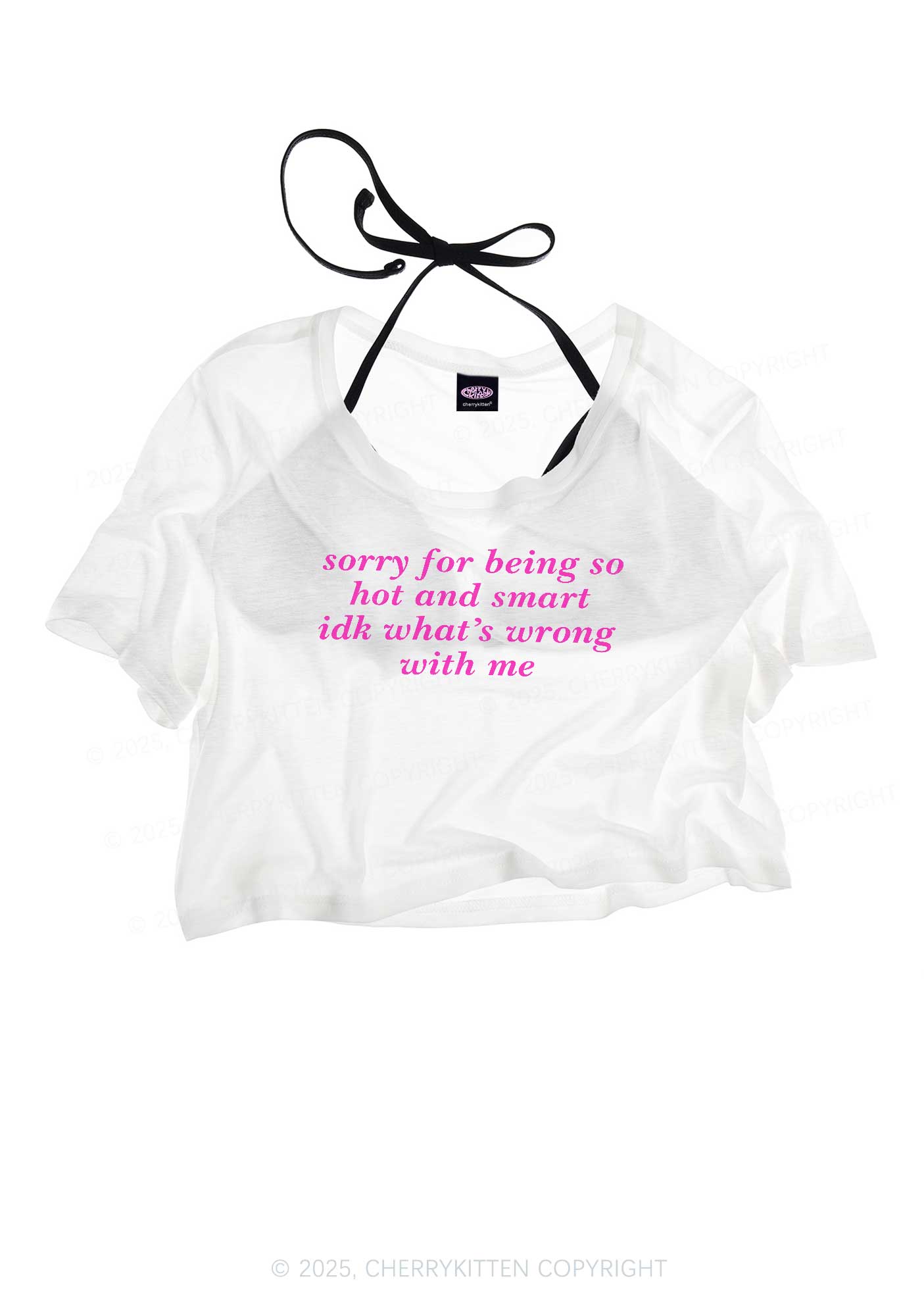 Sorry For Being So Smart Y2K Sheer Crop Tee Cherrykitten